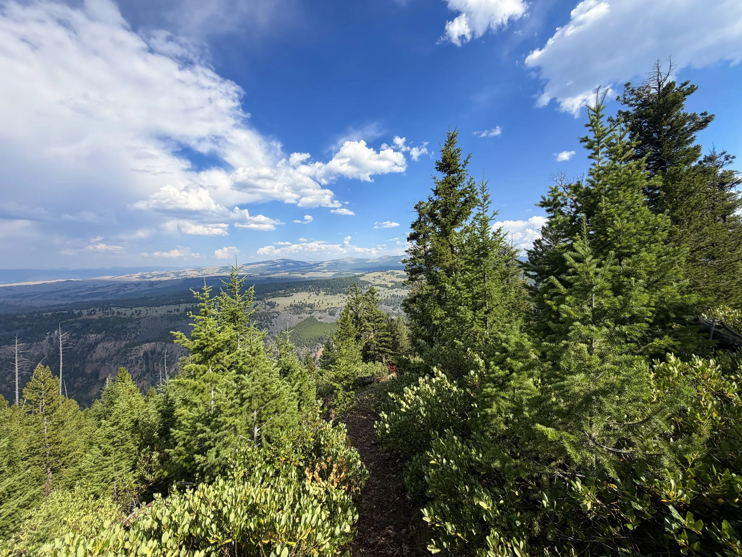 Bunsen Peak Hike Yellowstone National Park Wyoming