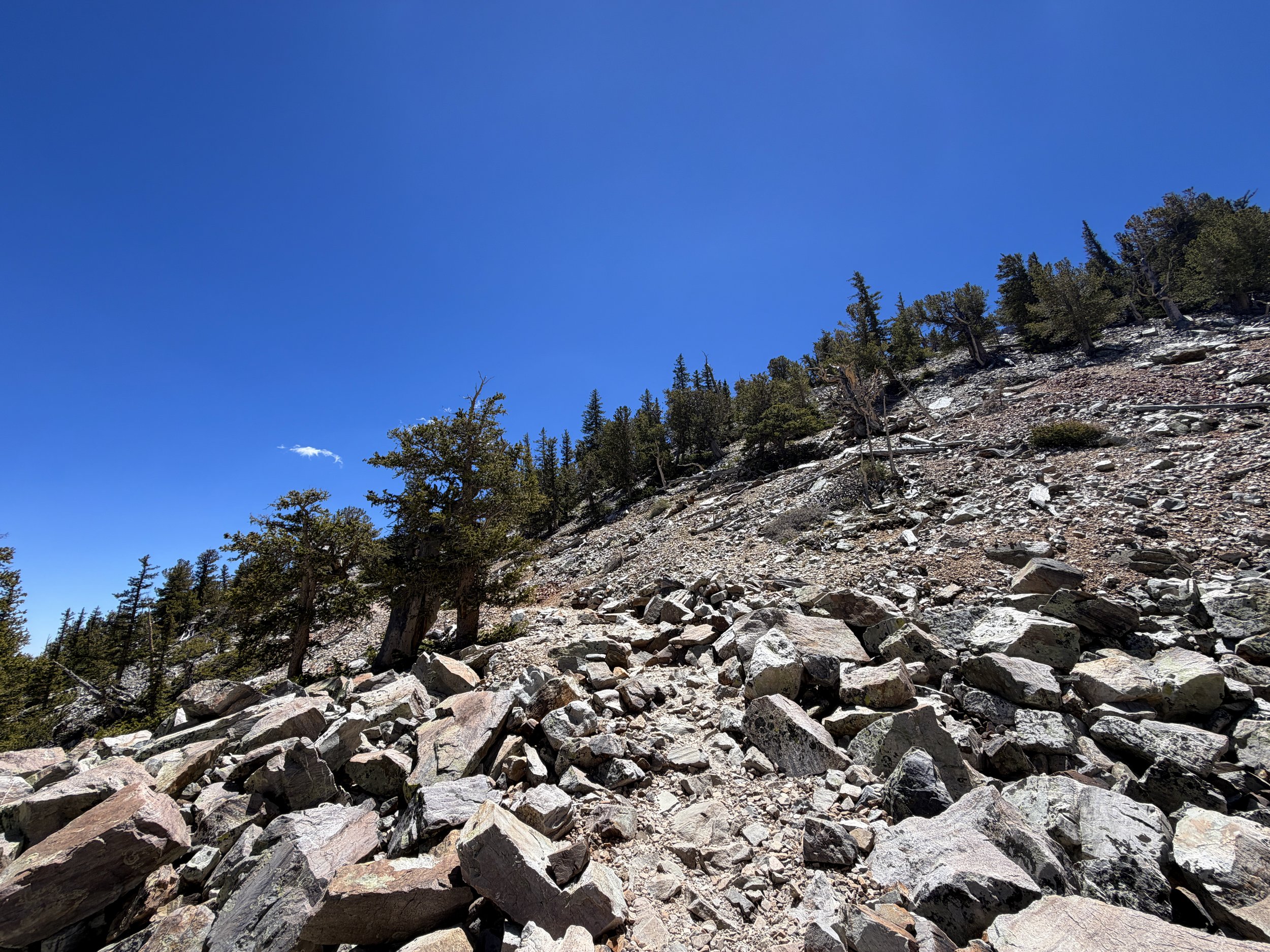 Bristlecone Pine Hike Great Basin National Park Nevada