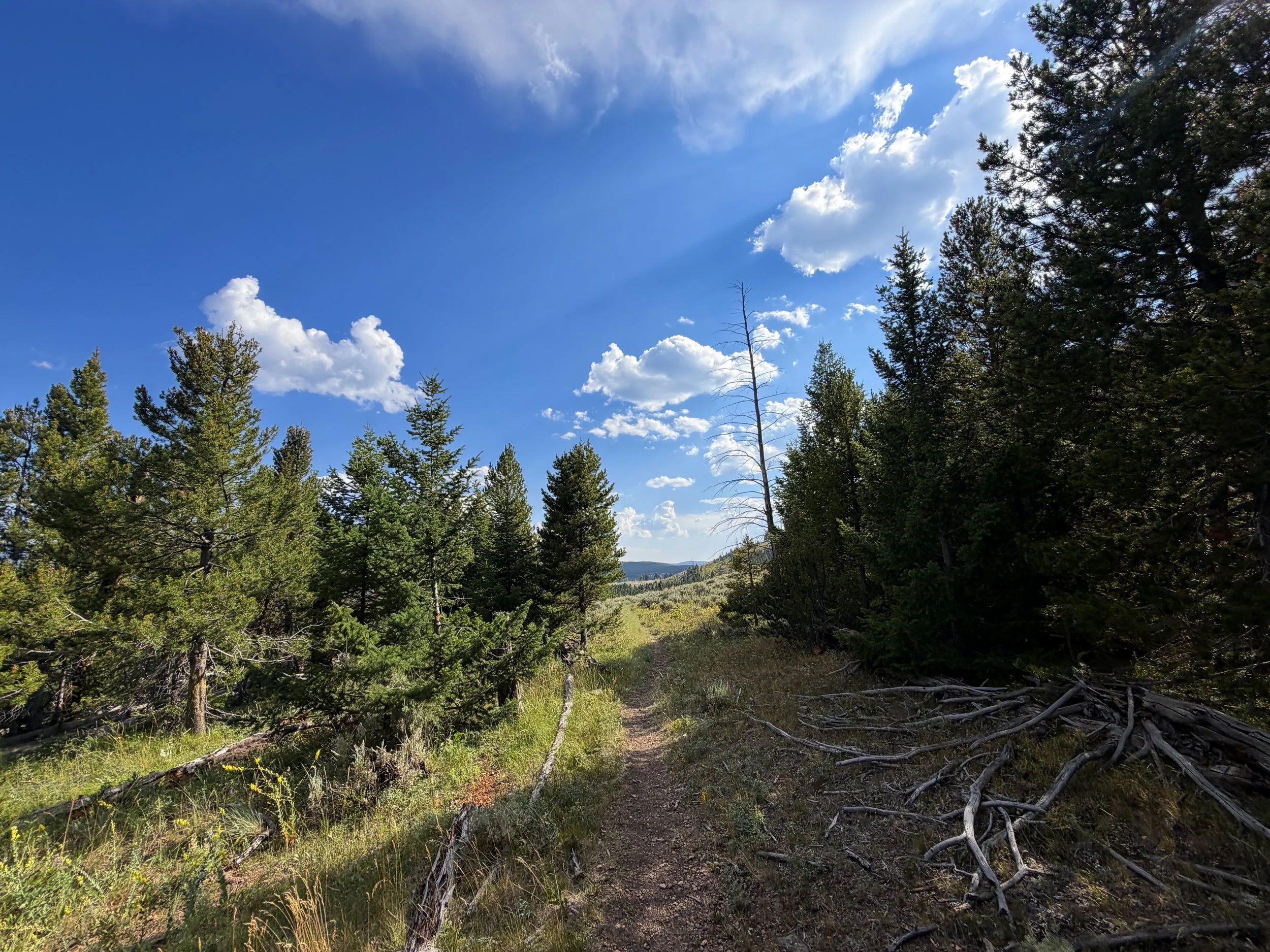 Bunsen Peak Trail Yellowstone National Park Wyoming