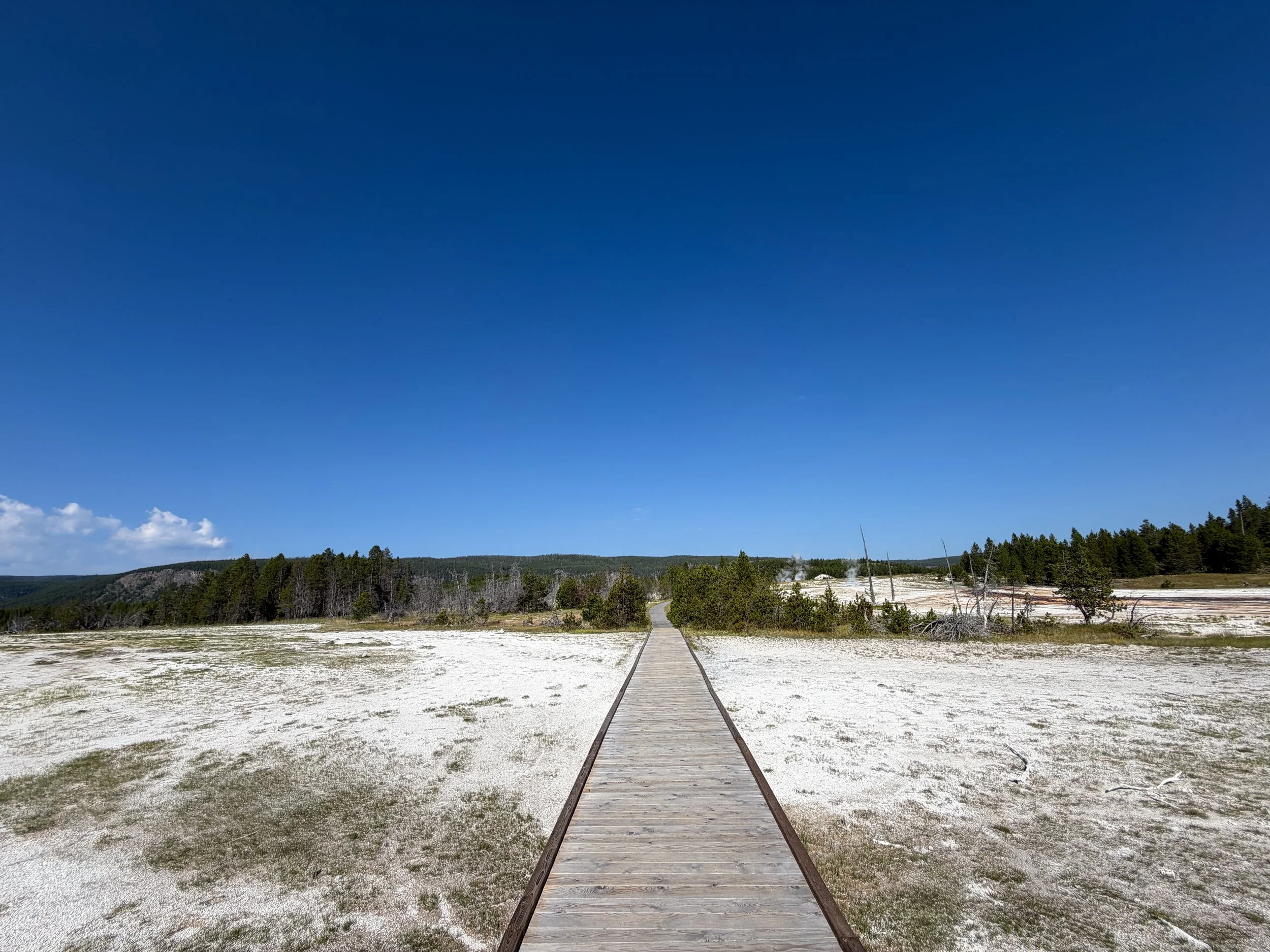 Upper Geyser Basin Trail Yellowstone National Park Wyoming