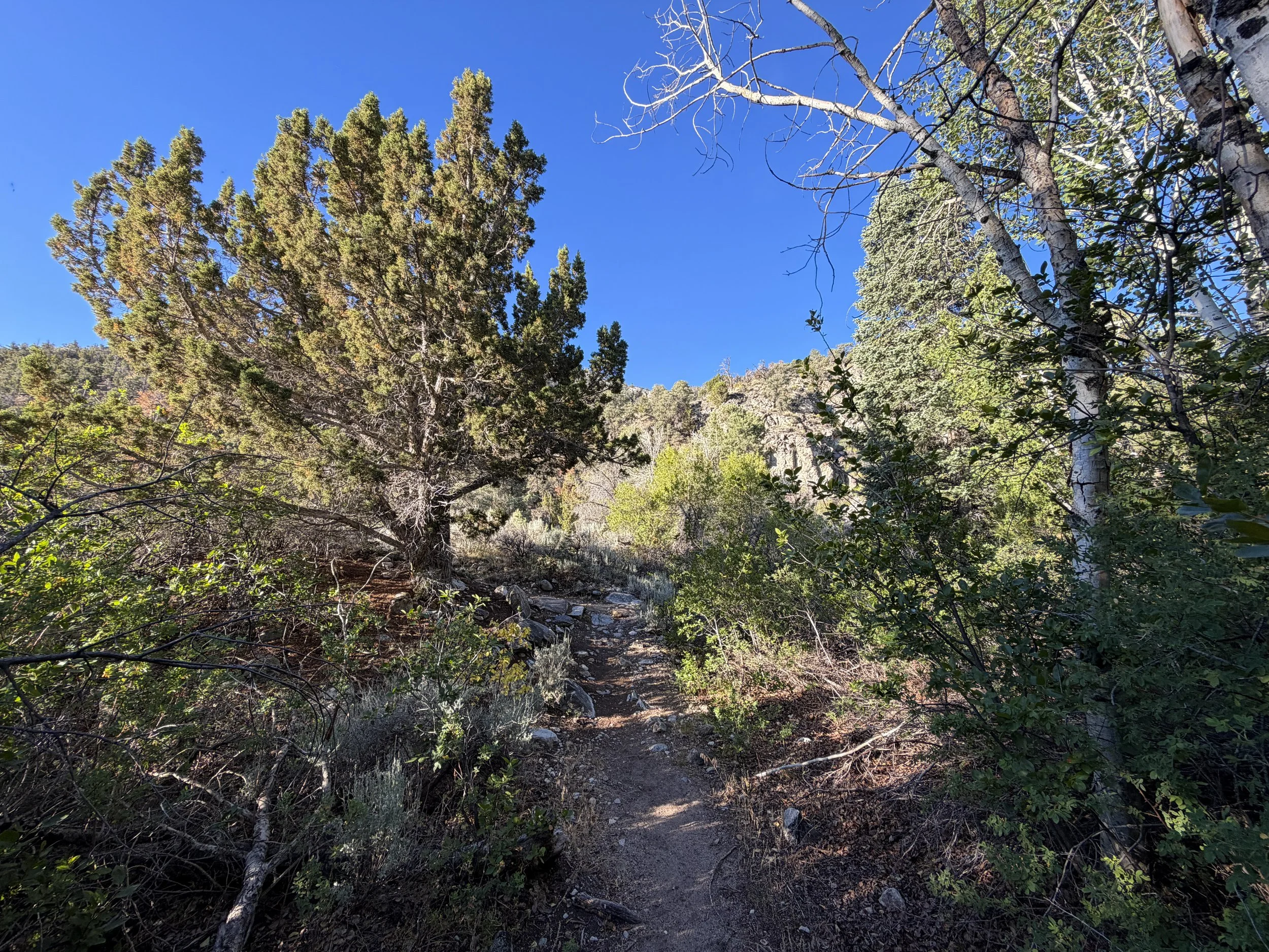 Pole Canyon Trail Great Basin National Park Nevada