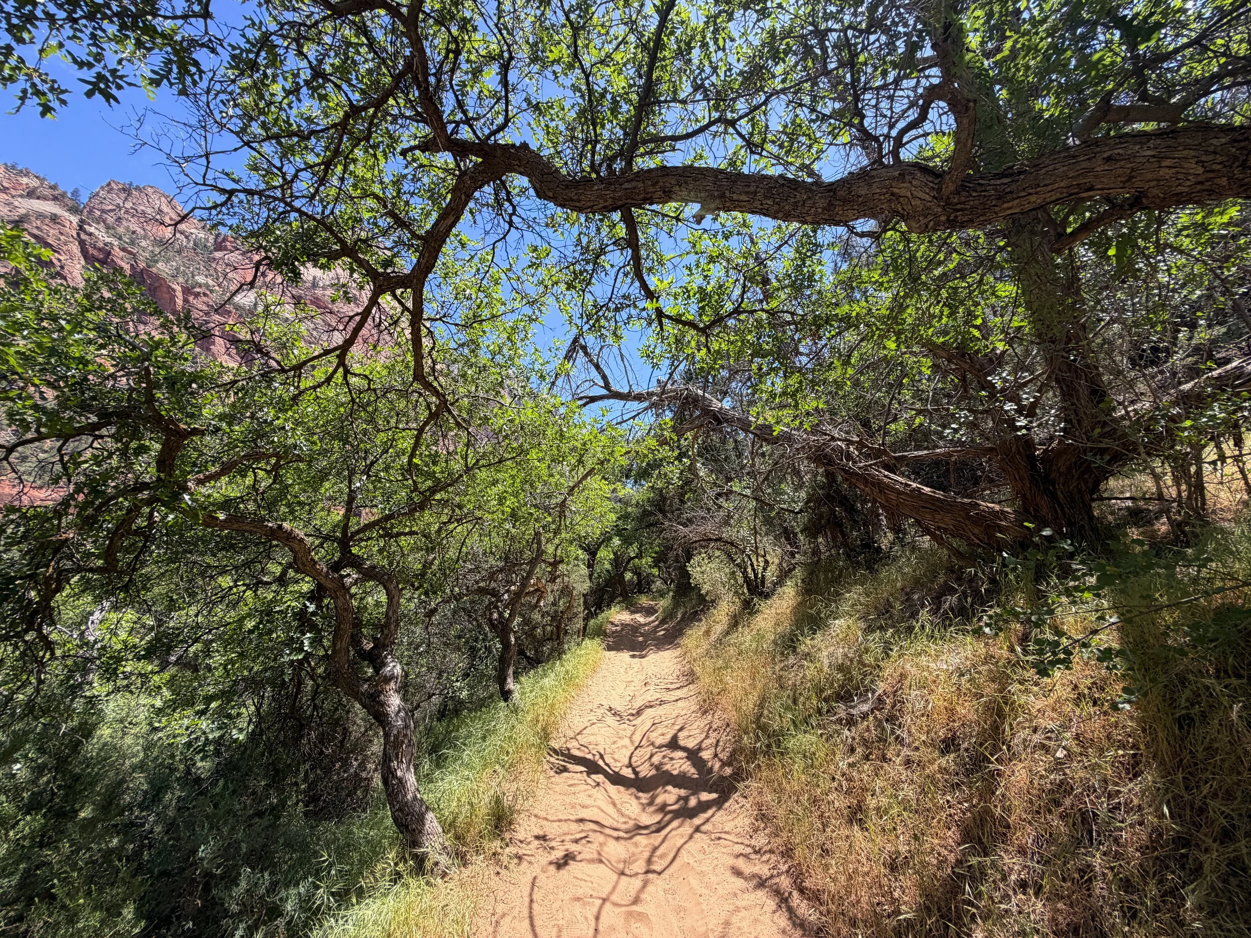 Sand Bench Loop Trail via Zion Lodge Zion National Park Utah