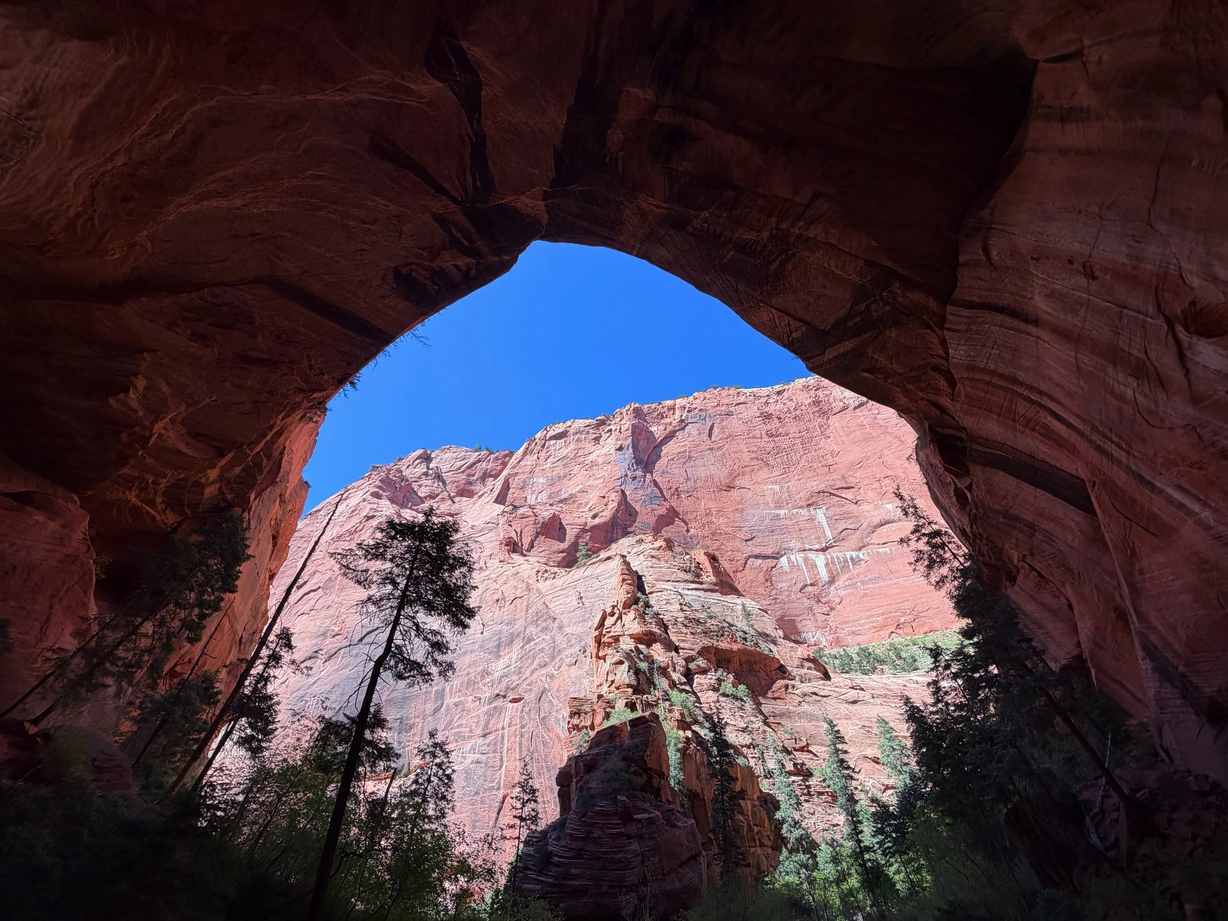 Double Arch Alcove Middle Taylor Creek Trail Zion National Park Utah