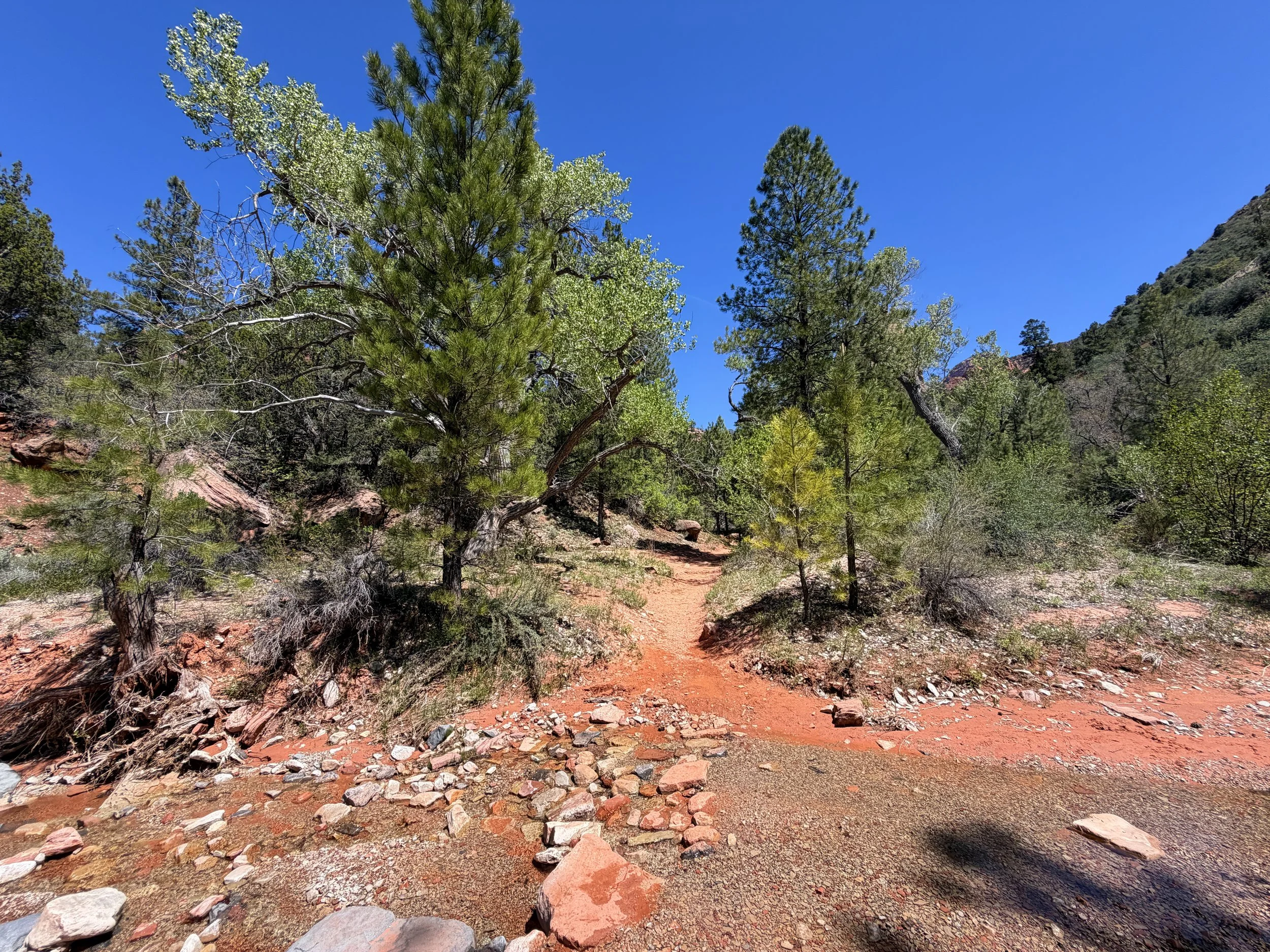 Middle Taylor Creek Trail Zion National Park Utah