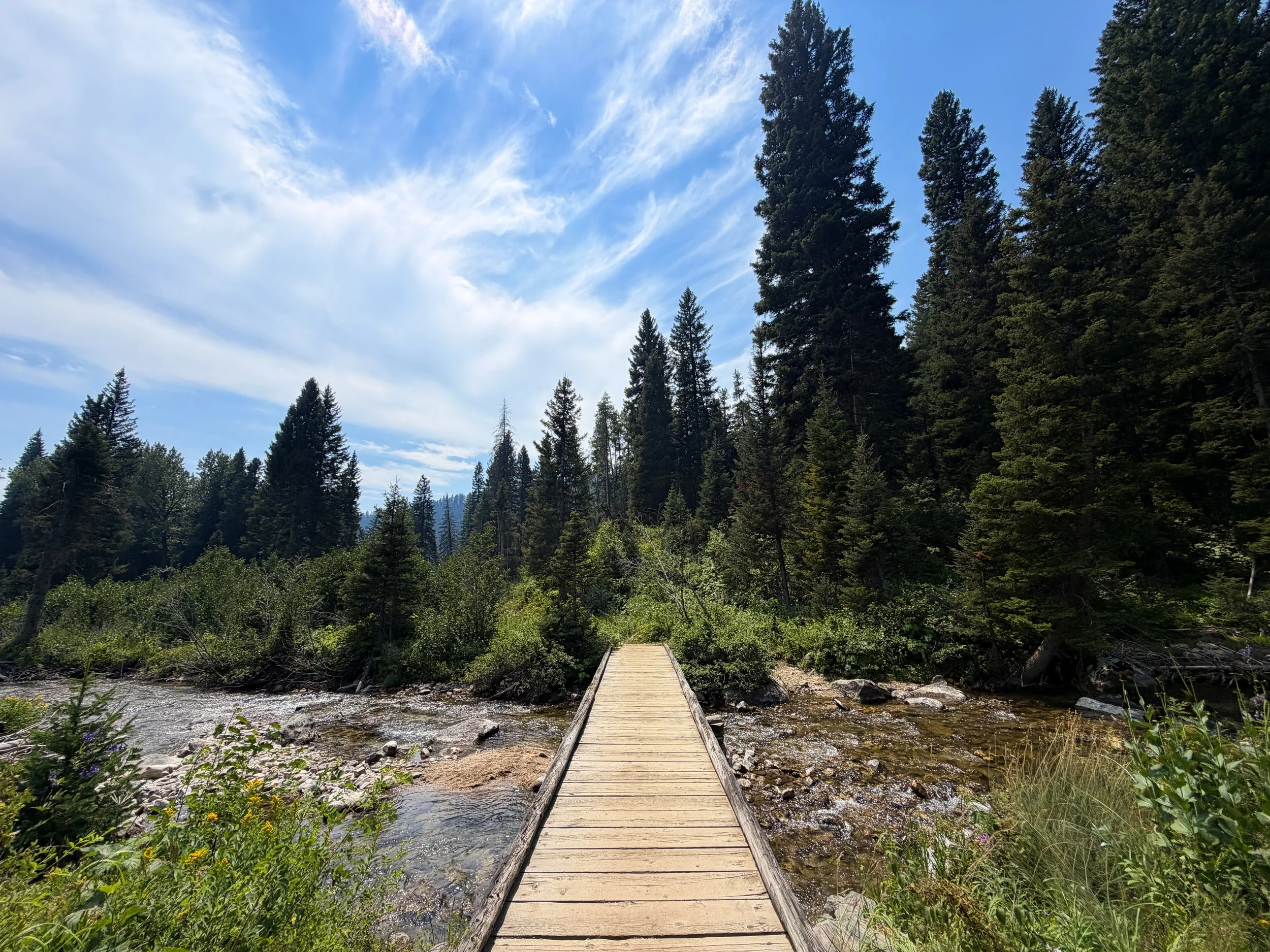 Phelps Lake Loop Trail Grand Teton National Park Wyoming