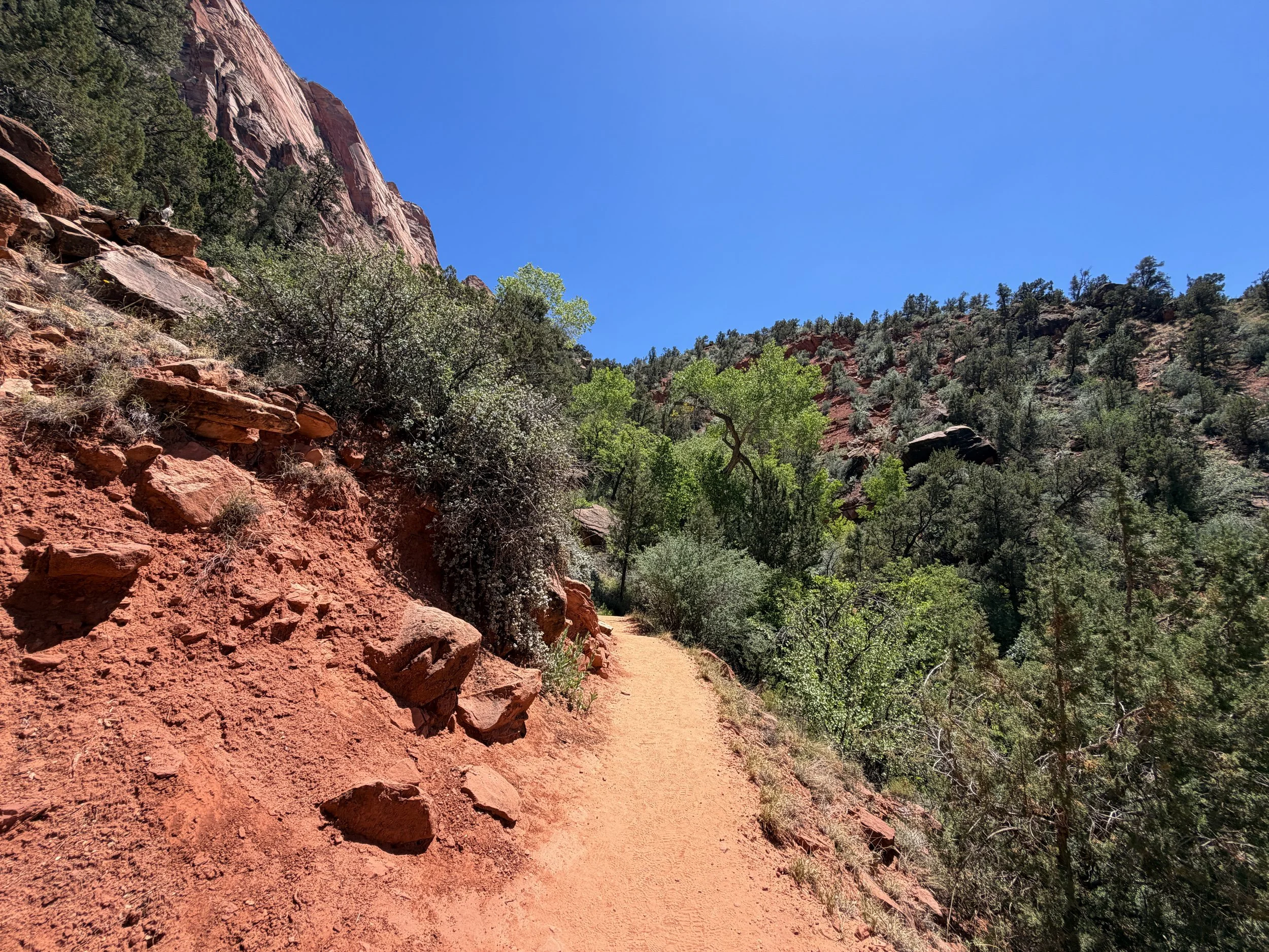 Watchman Trail Zion National Park Utah