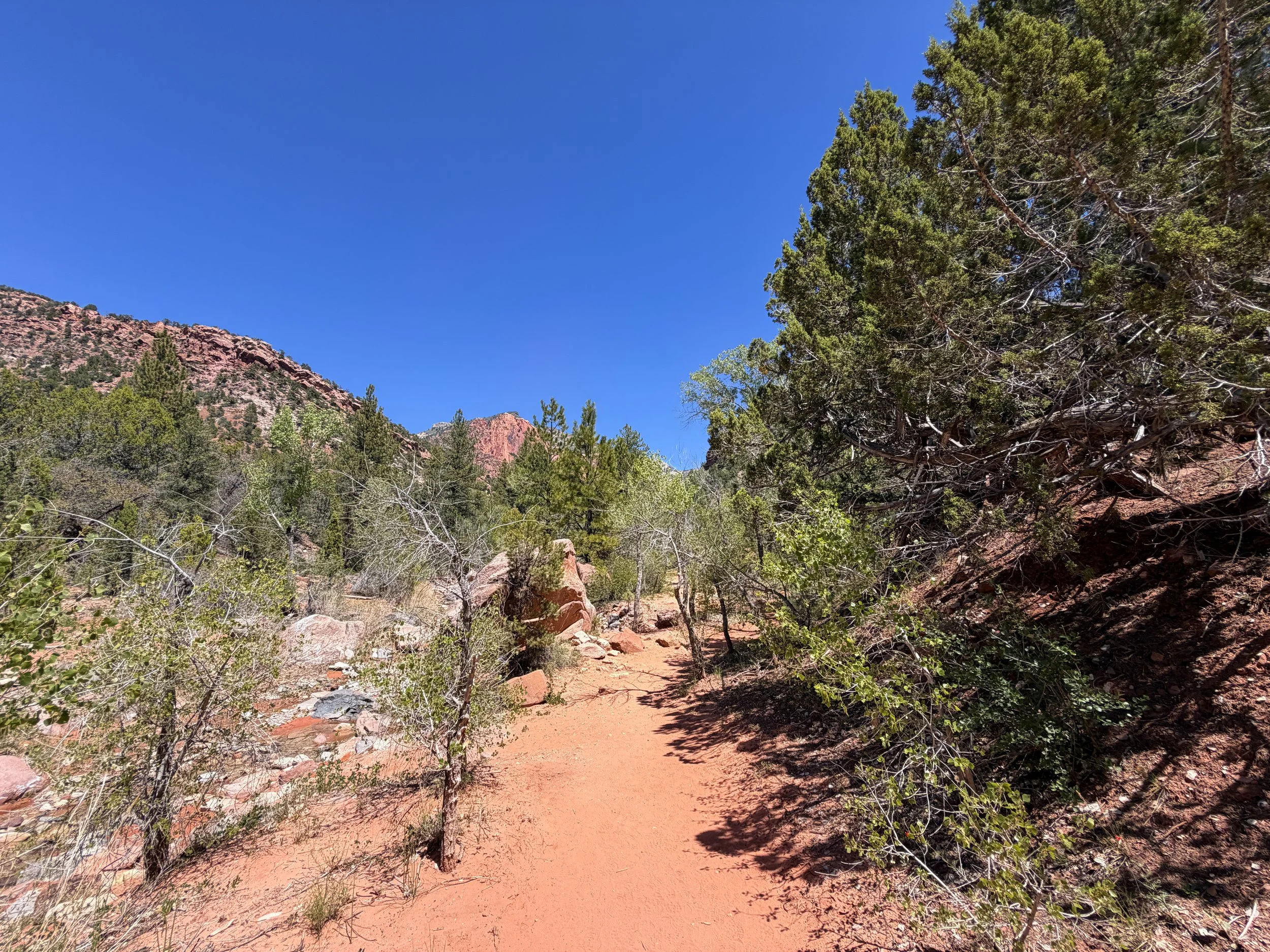 Taylor Creek Trail Zion National Park Utah