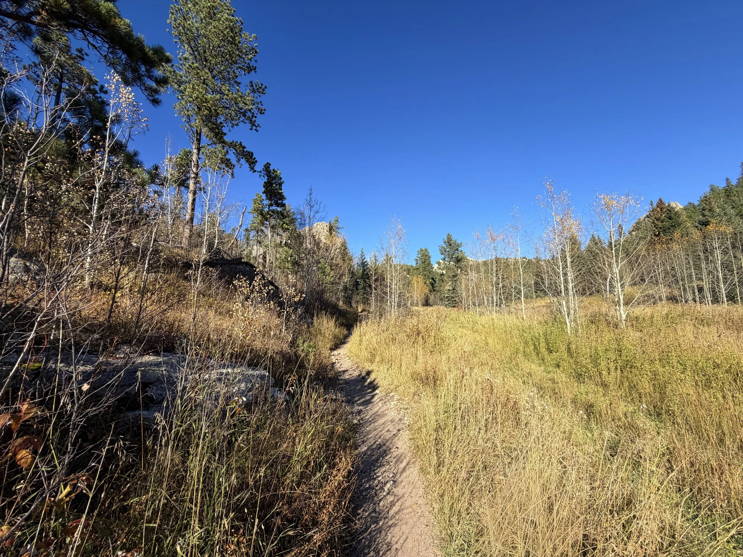 Little Devils Tower Trail Custer State Park Black Hills South Dakota
