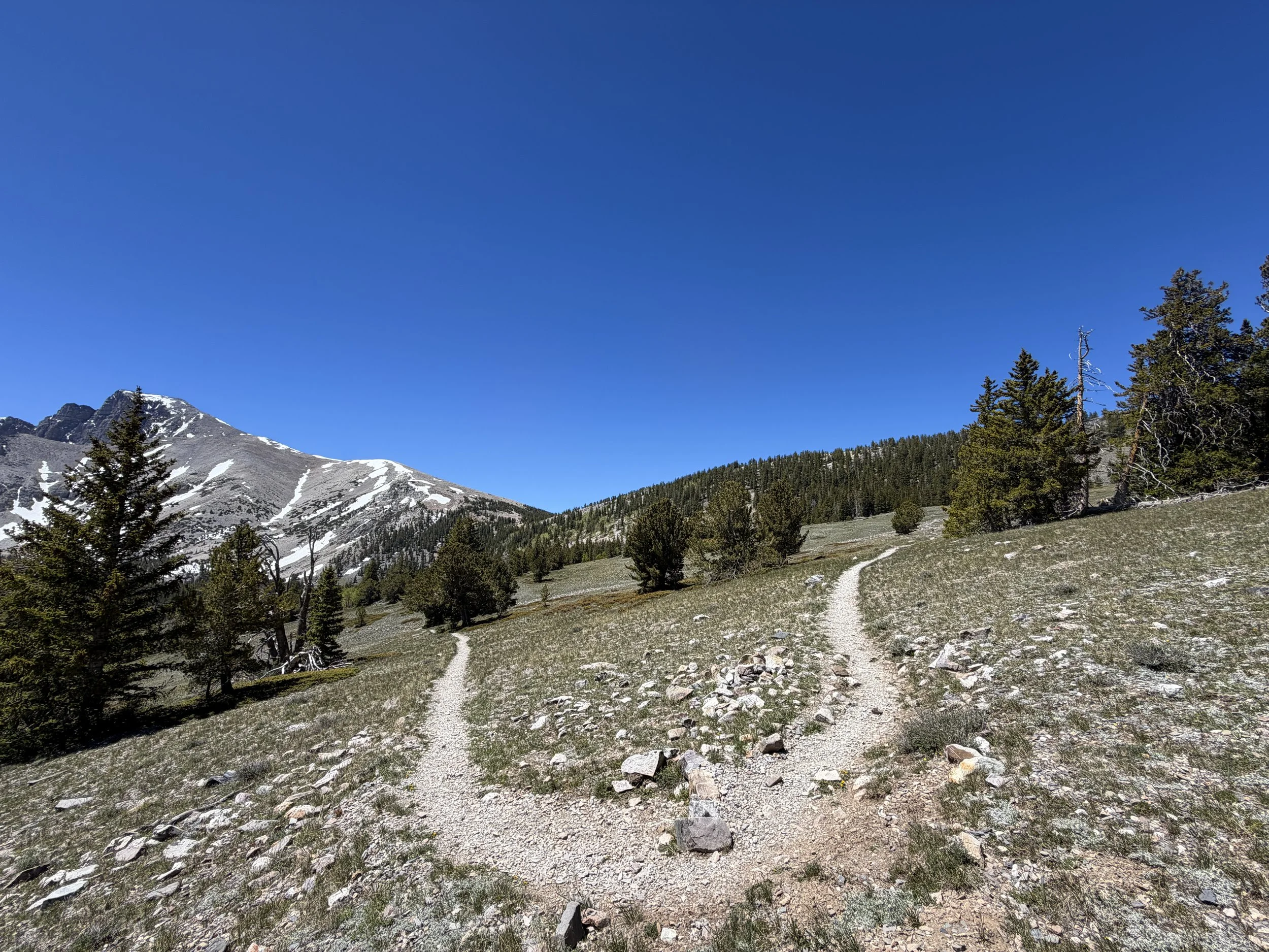 Wheeler Peak Trail Great Basin National Park Nevada