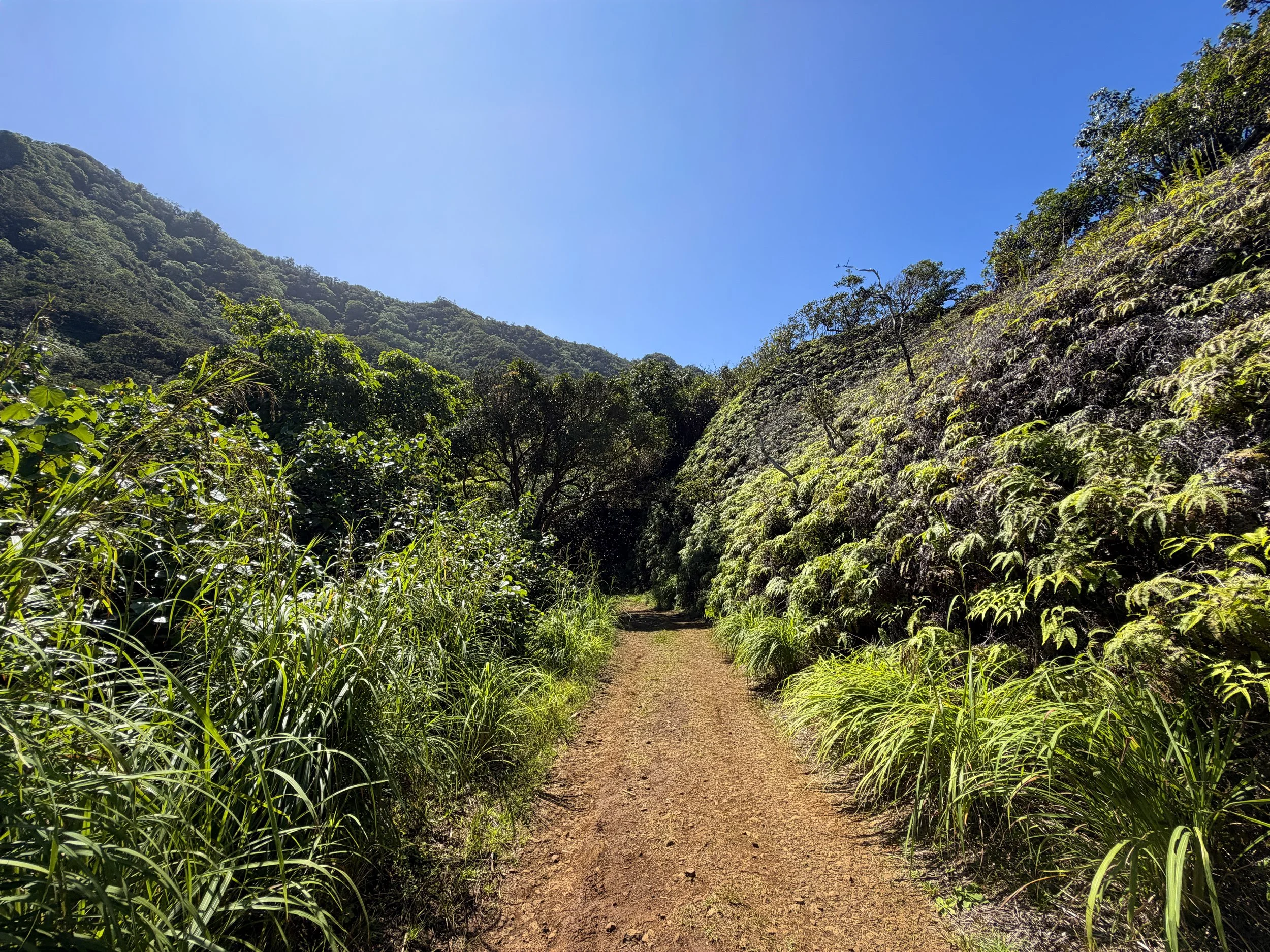 Kulanaahane Trail Oahu Hawaii