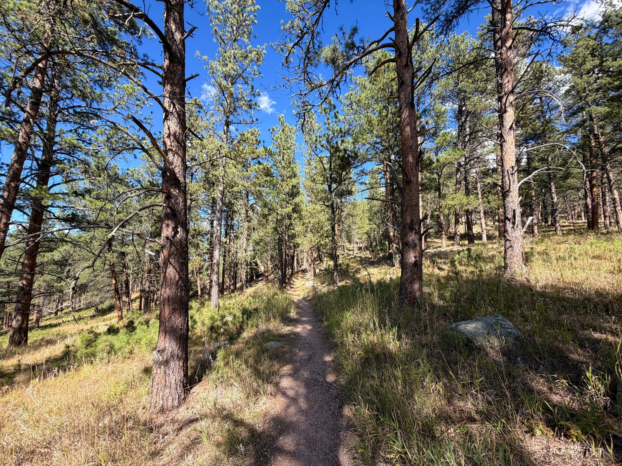 Rankin Ridge Trail Wind Cave National Park South Dakota
