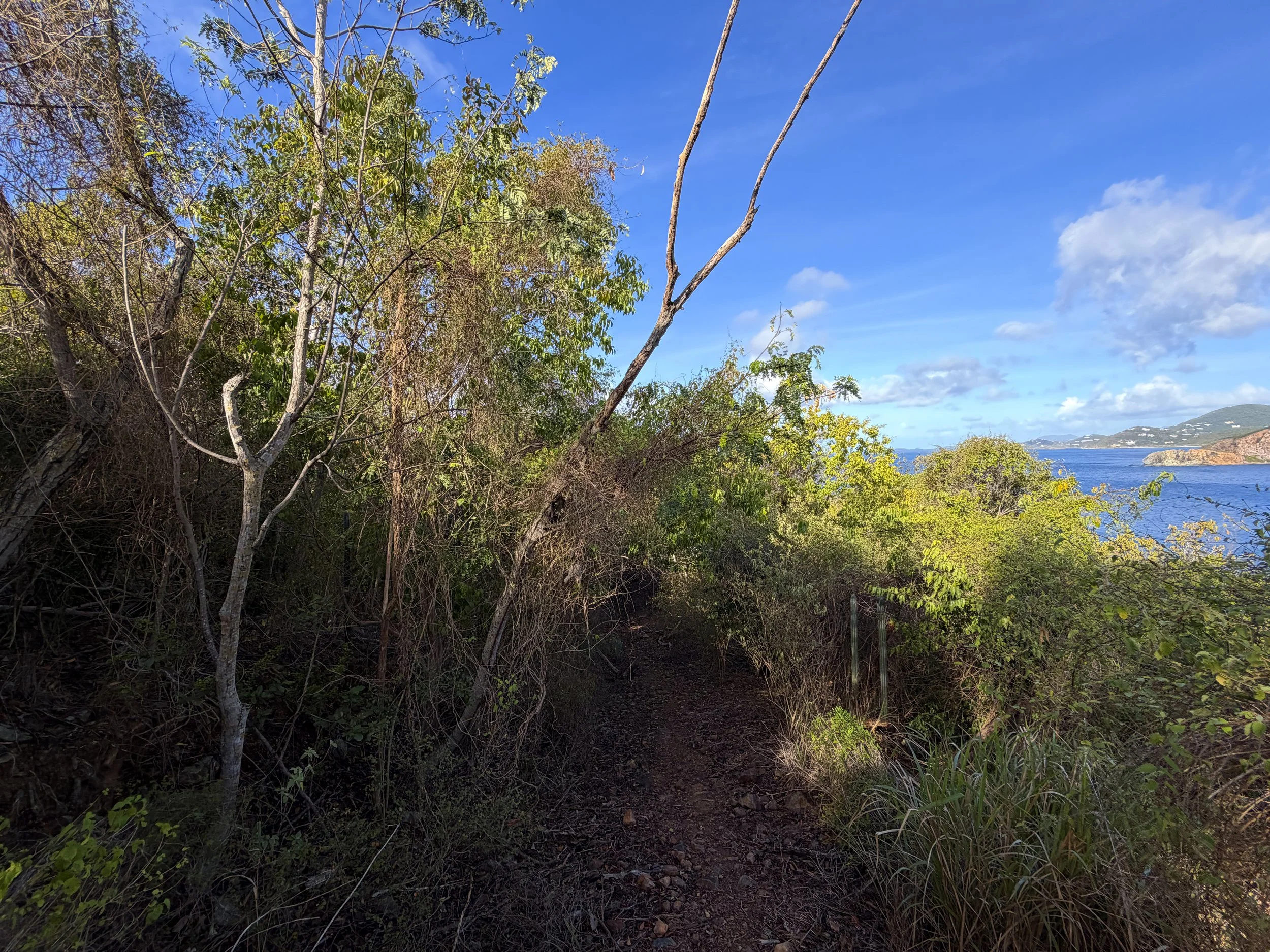 Tektite Trail Virgin Islands National Park