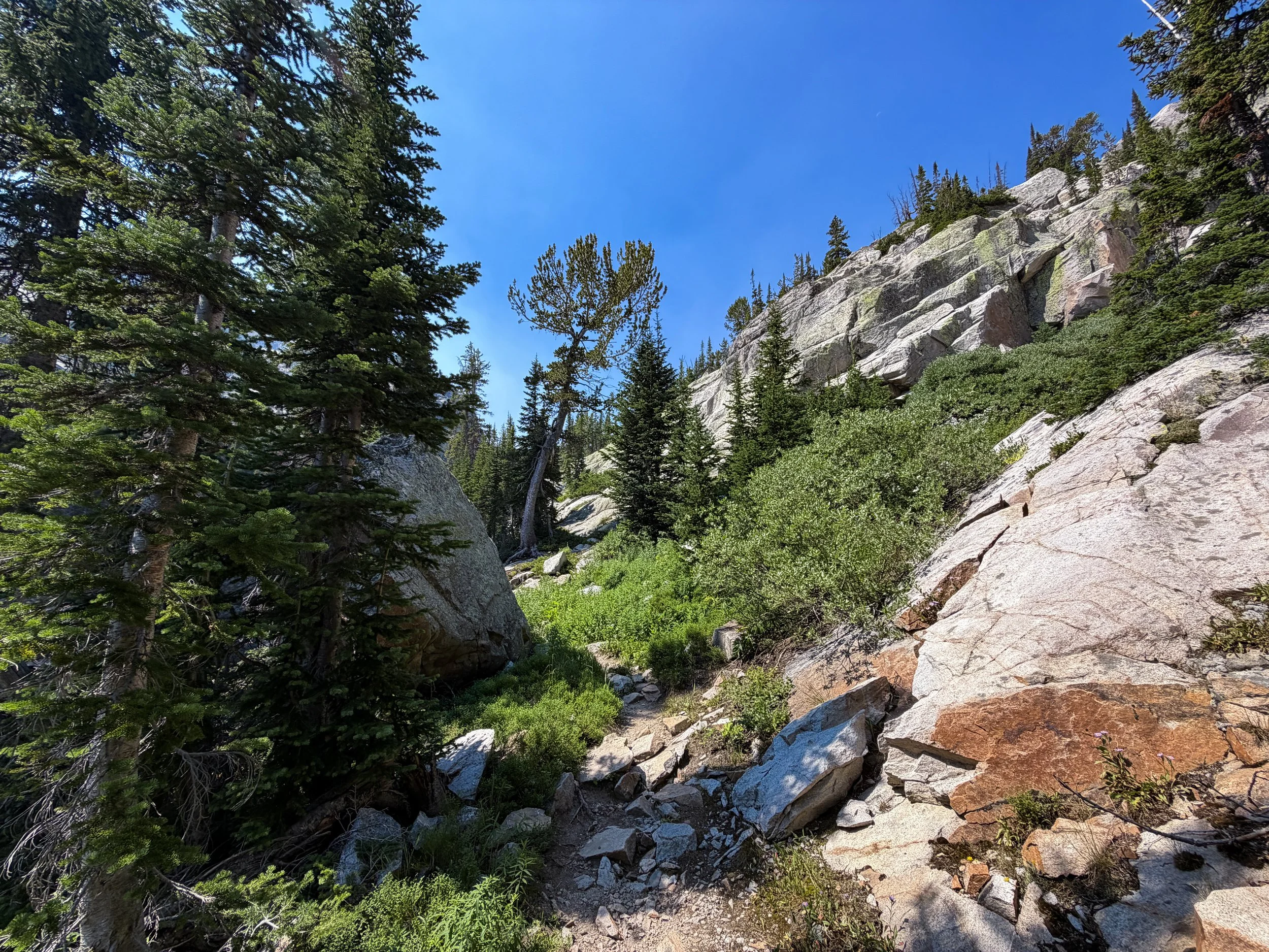 East Rosebud Trail The Beaten Path Beartooth Mountains Montana