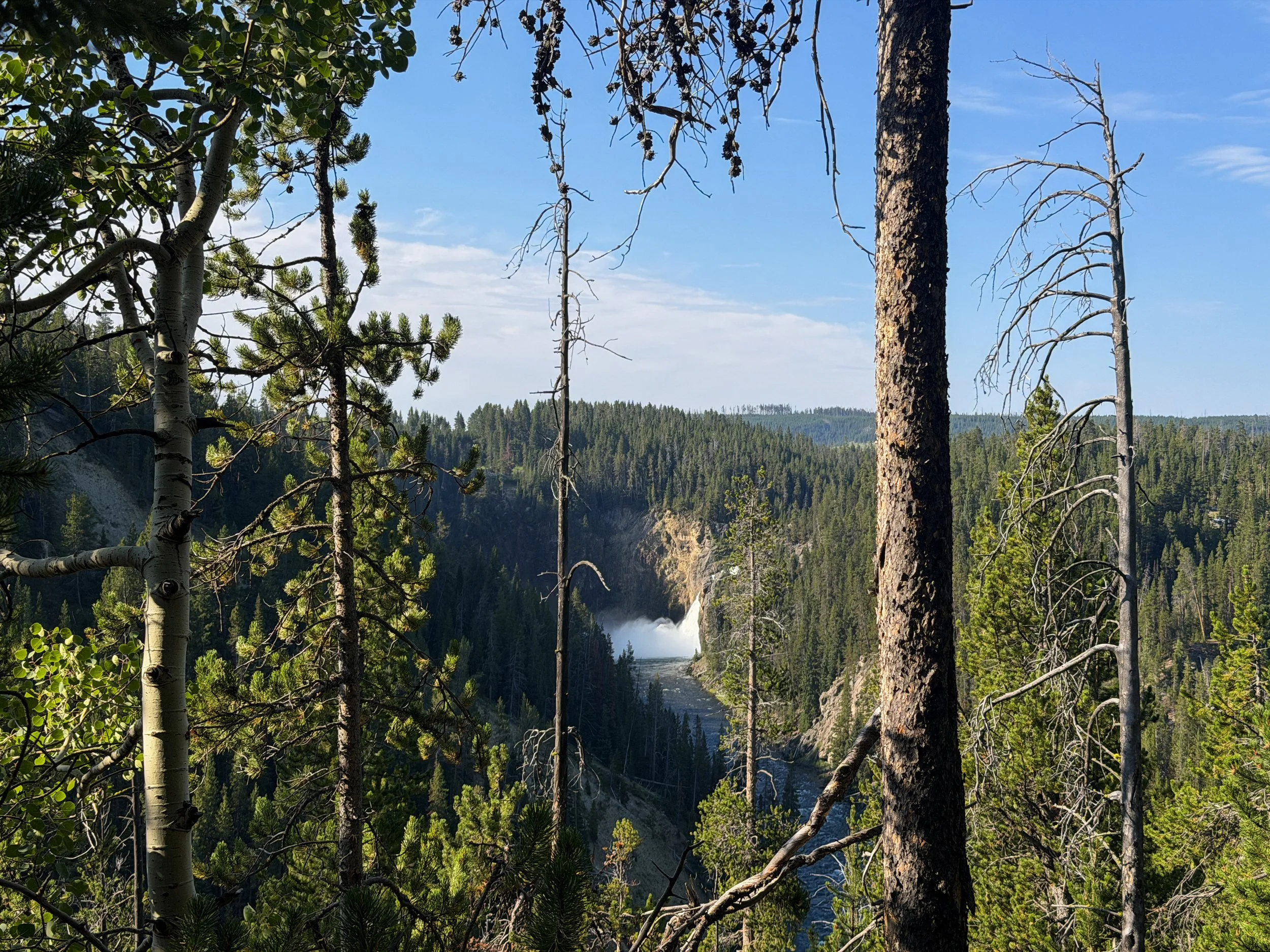 Brink of the Lower Falls Trail Yellowstone National Park Wyoming