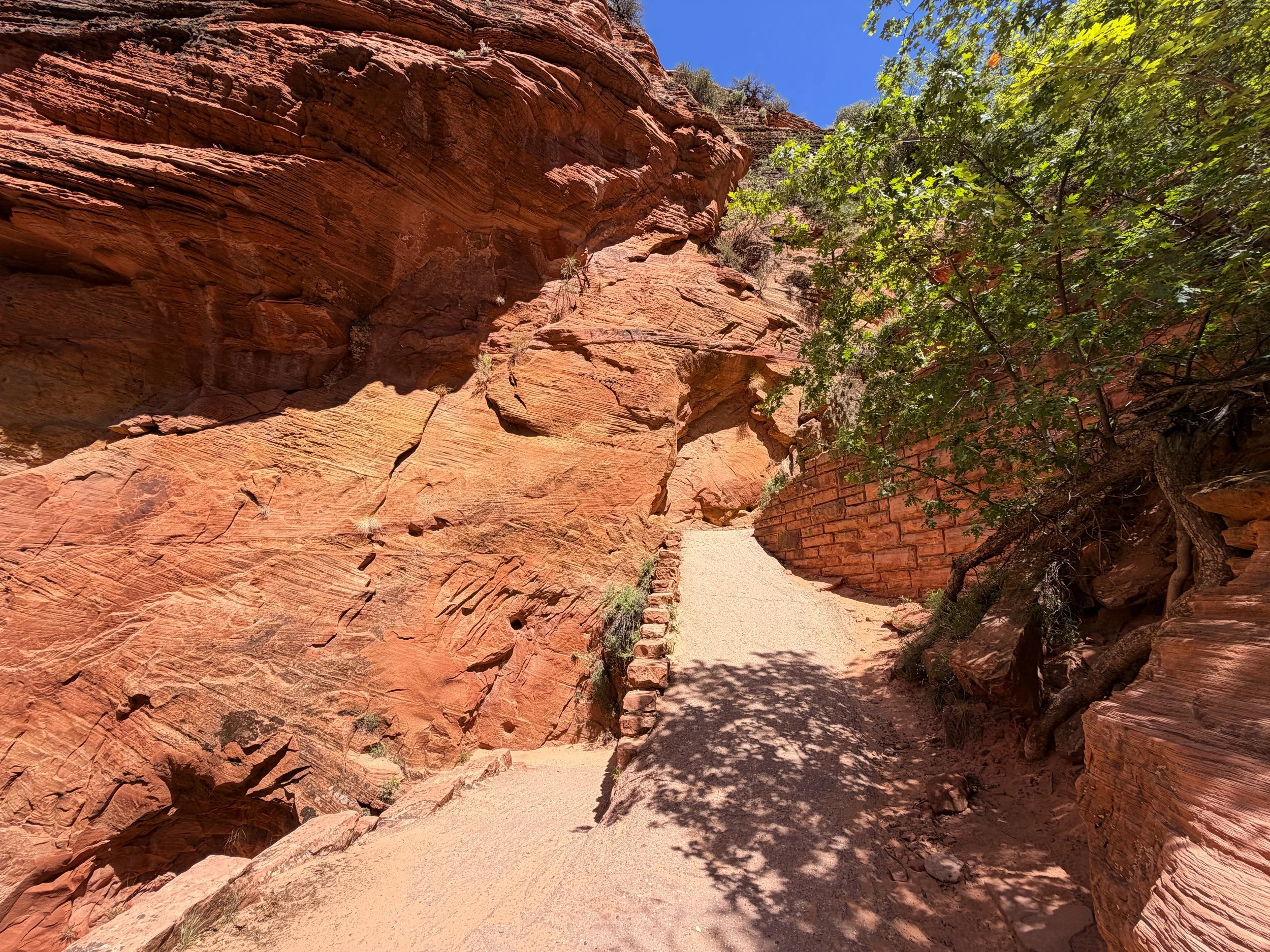 Angels Landing Hike Walters Wiggles Zion National Park Utah