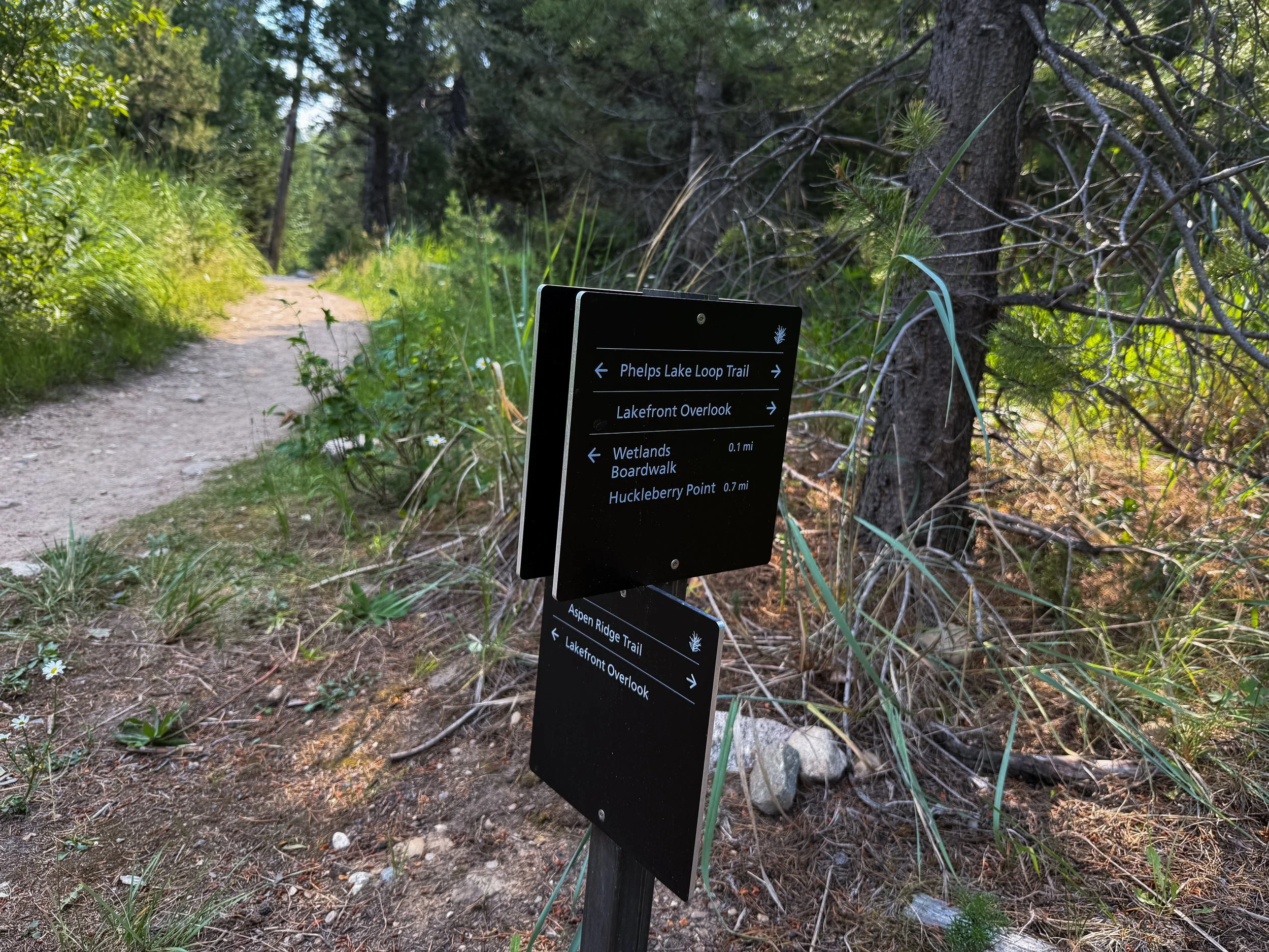 Aspen Ridge Trail Grand Teton National Park Wyoming