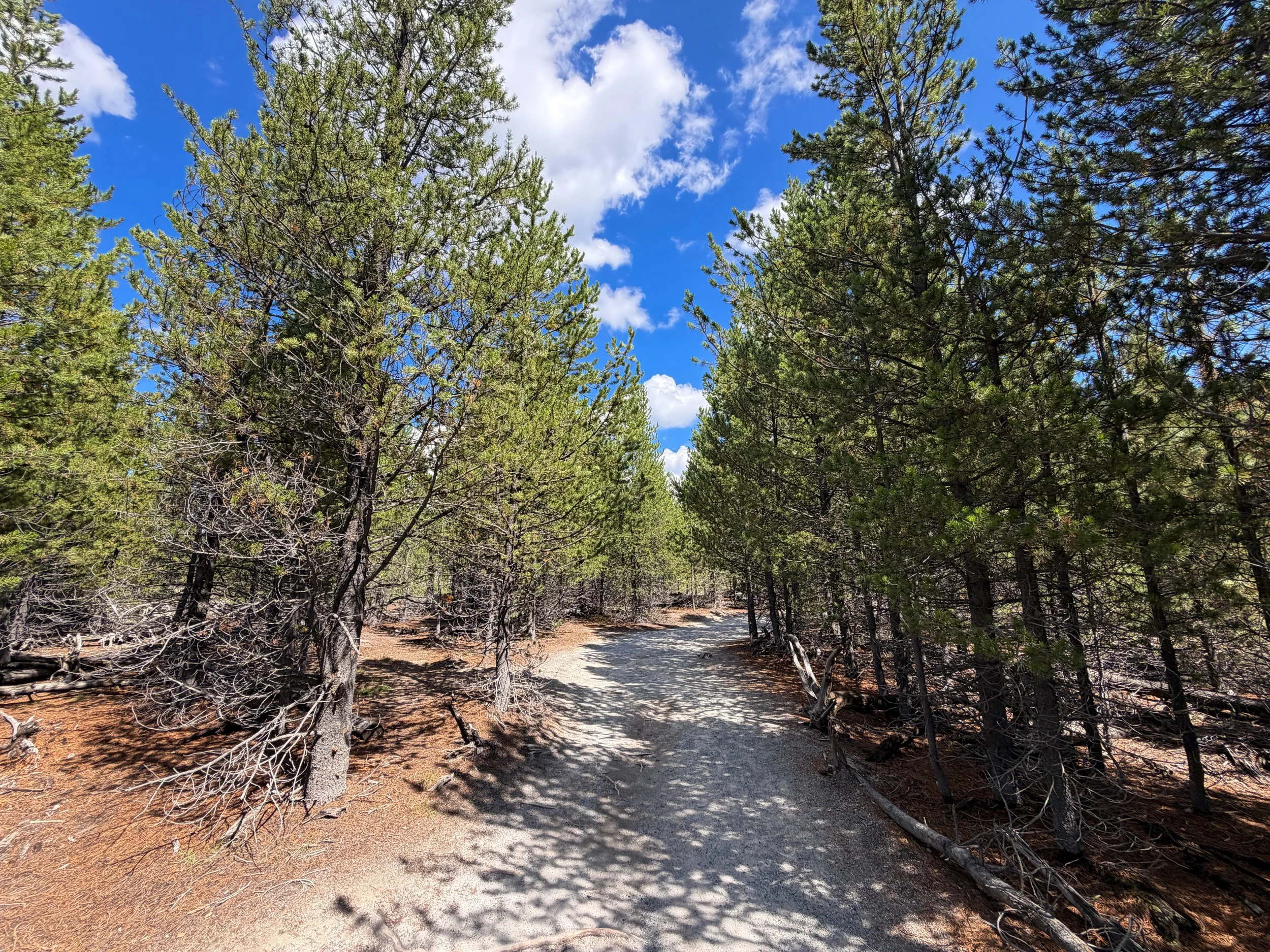 Artists Paintpots Trail Yellowstone National Park Wyoming