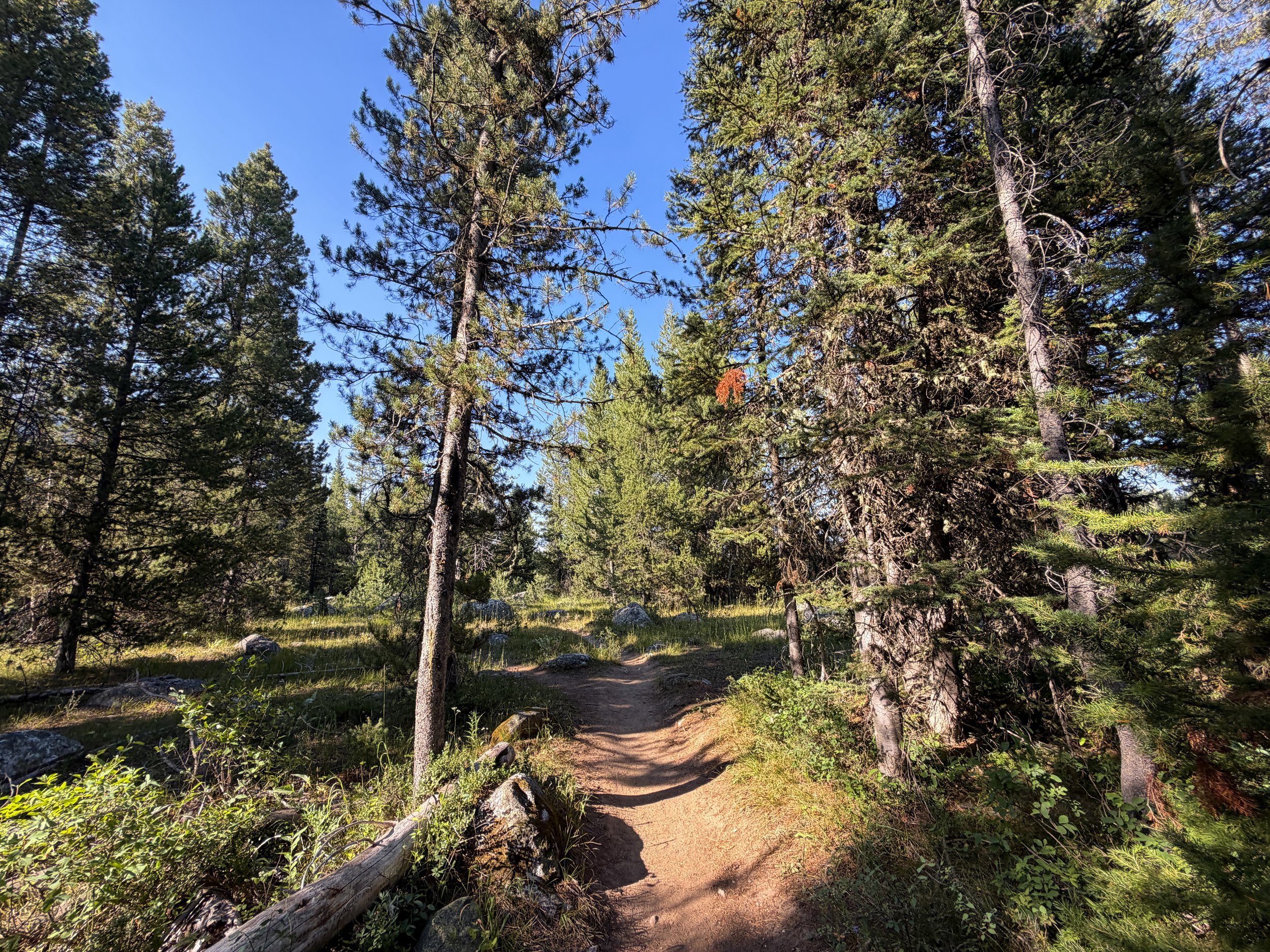 Moose Ponds Loop Trail Grand Teton National Park Wyoming