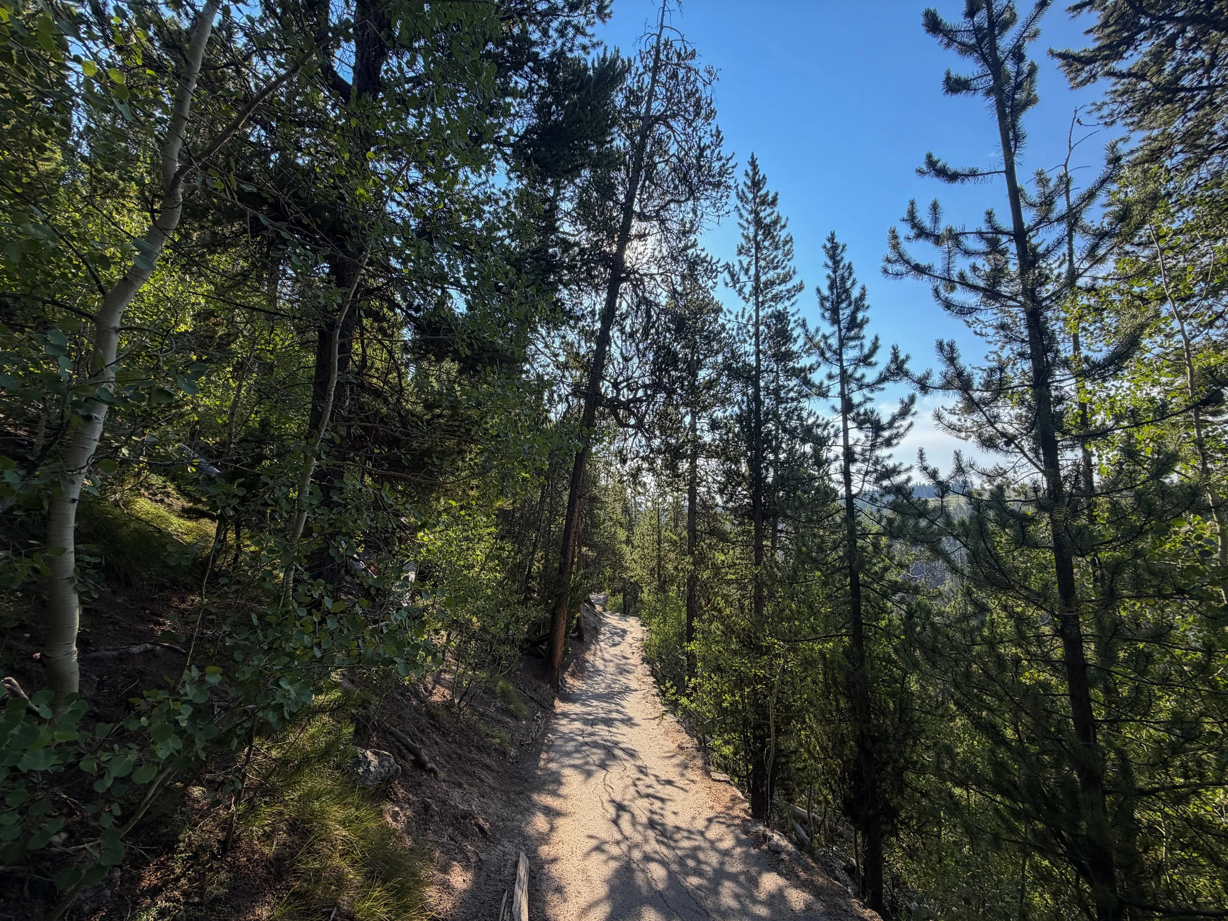 Brink of the Lower Falls Trail Yellowstone National Park Wyoming