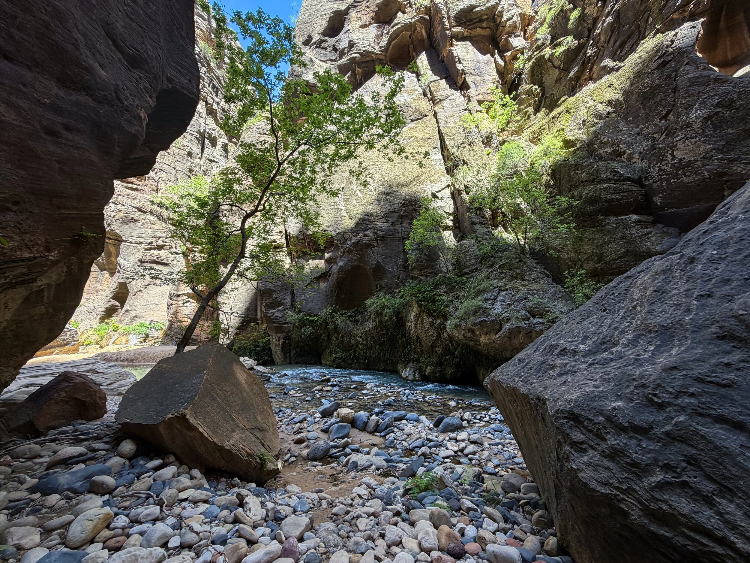 The Narrows Zion National Park Utah