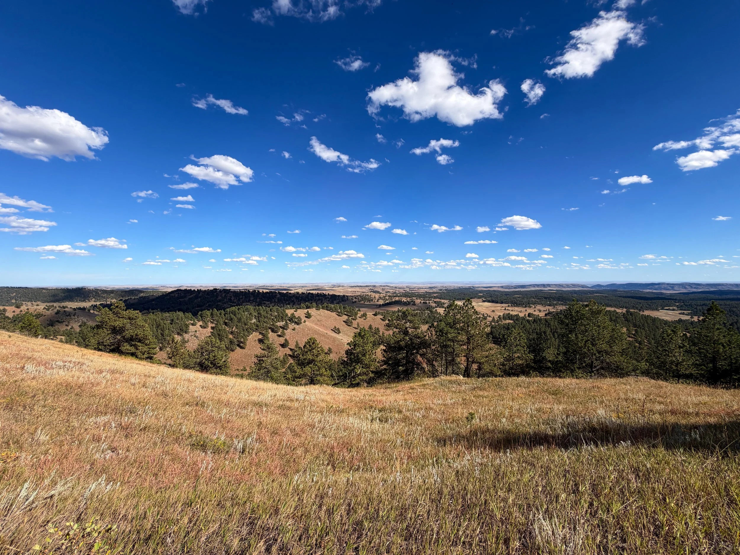 Rankin Ridge Trail Wind Cave National Park South Dakota