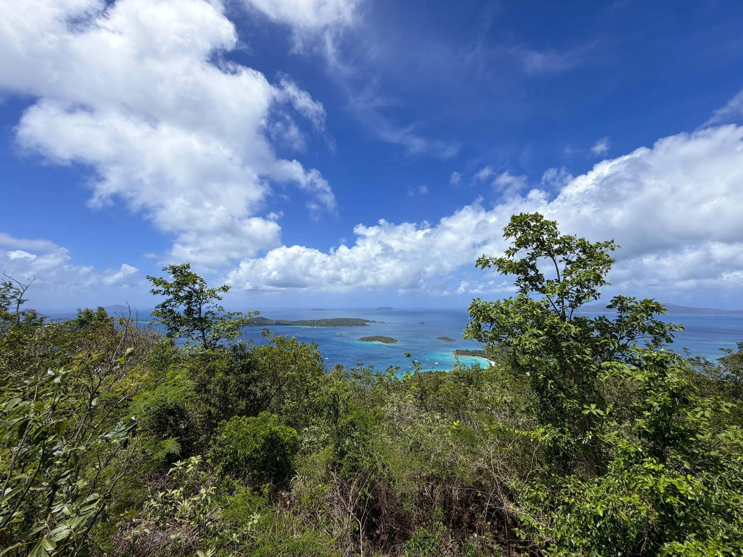 Caneel Hill Viewpoint Virgin Islands National Park