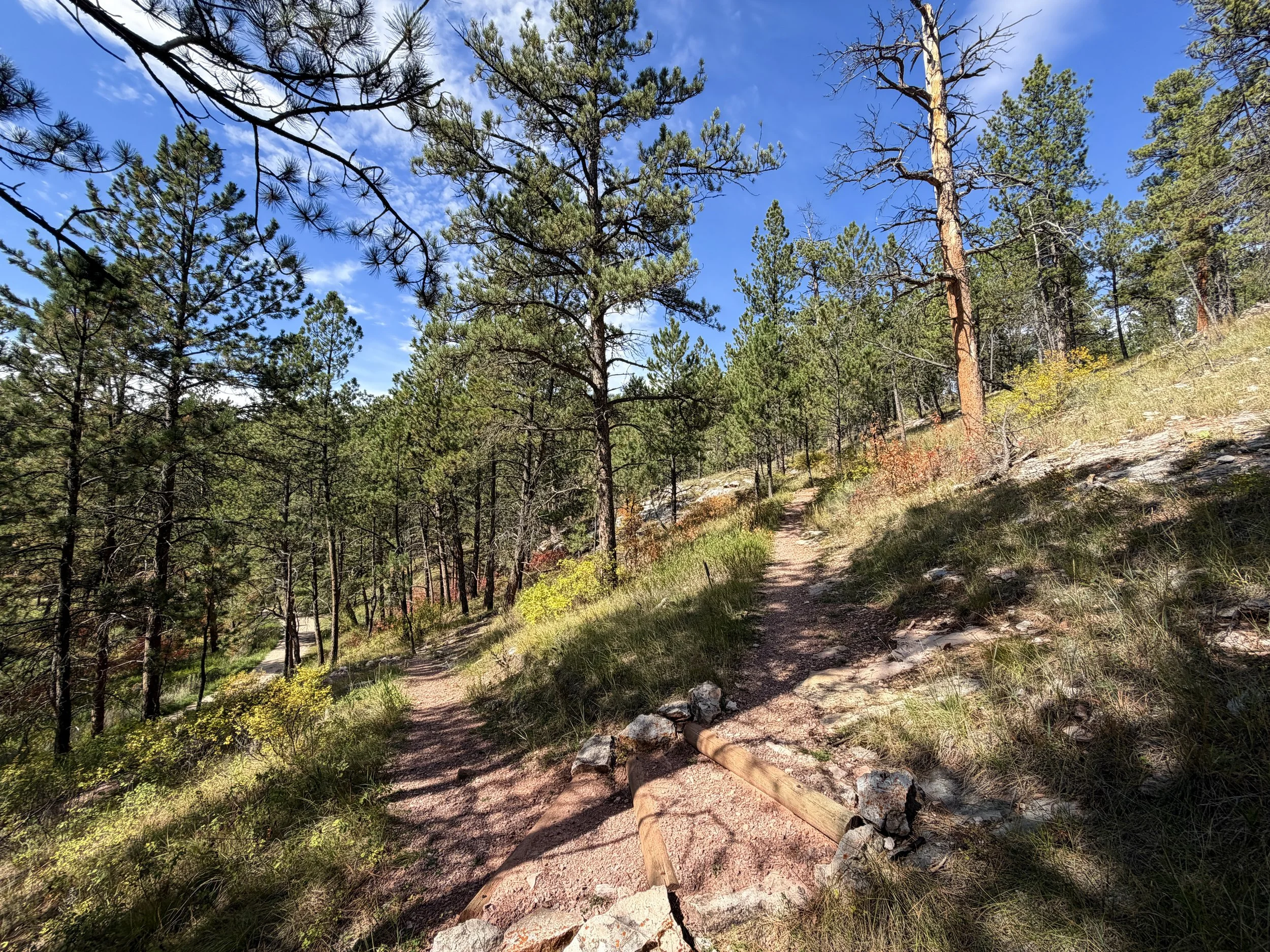 Canyons Trail Switchbacks Jewel Cave National Monument Black Hills South Dakota