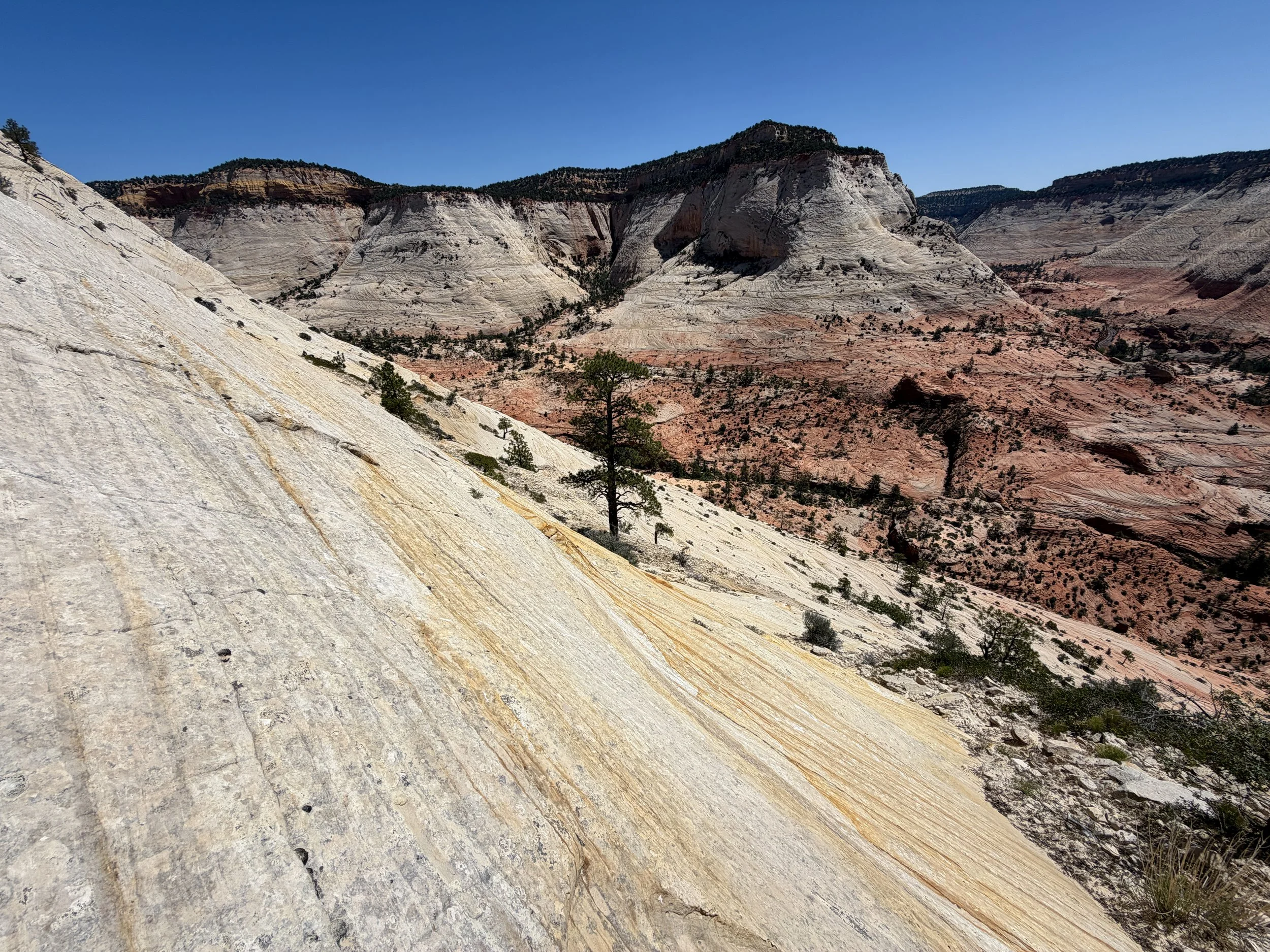 South Ariel Peak Trail Zion National Park Utah
