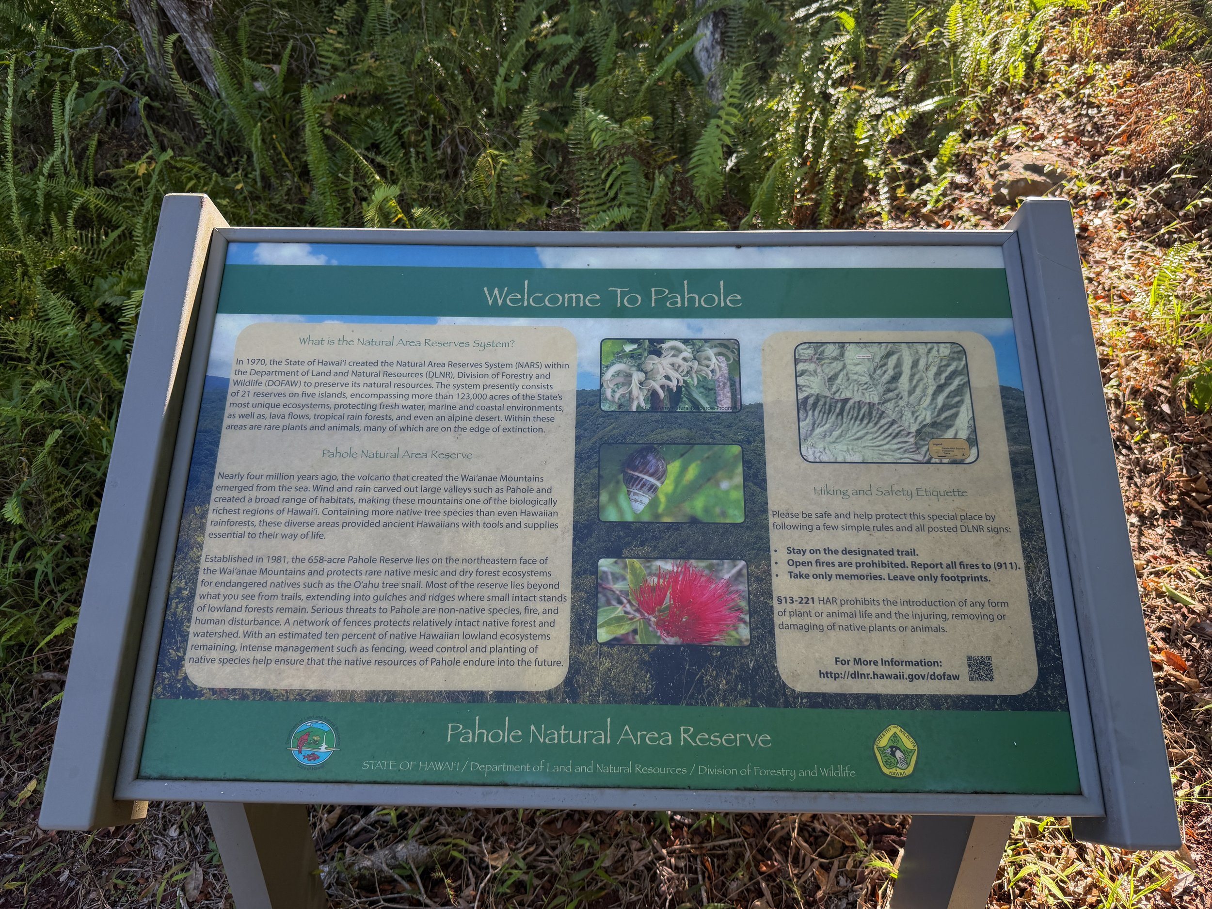 Pahole Natural Area Reserve Mokuleia Trail Oahu Hawaii
