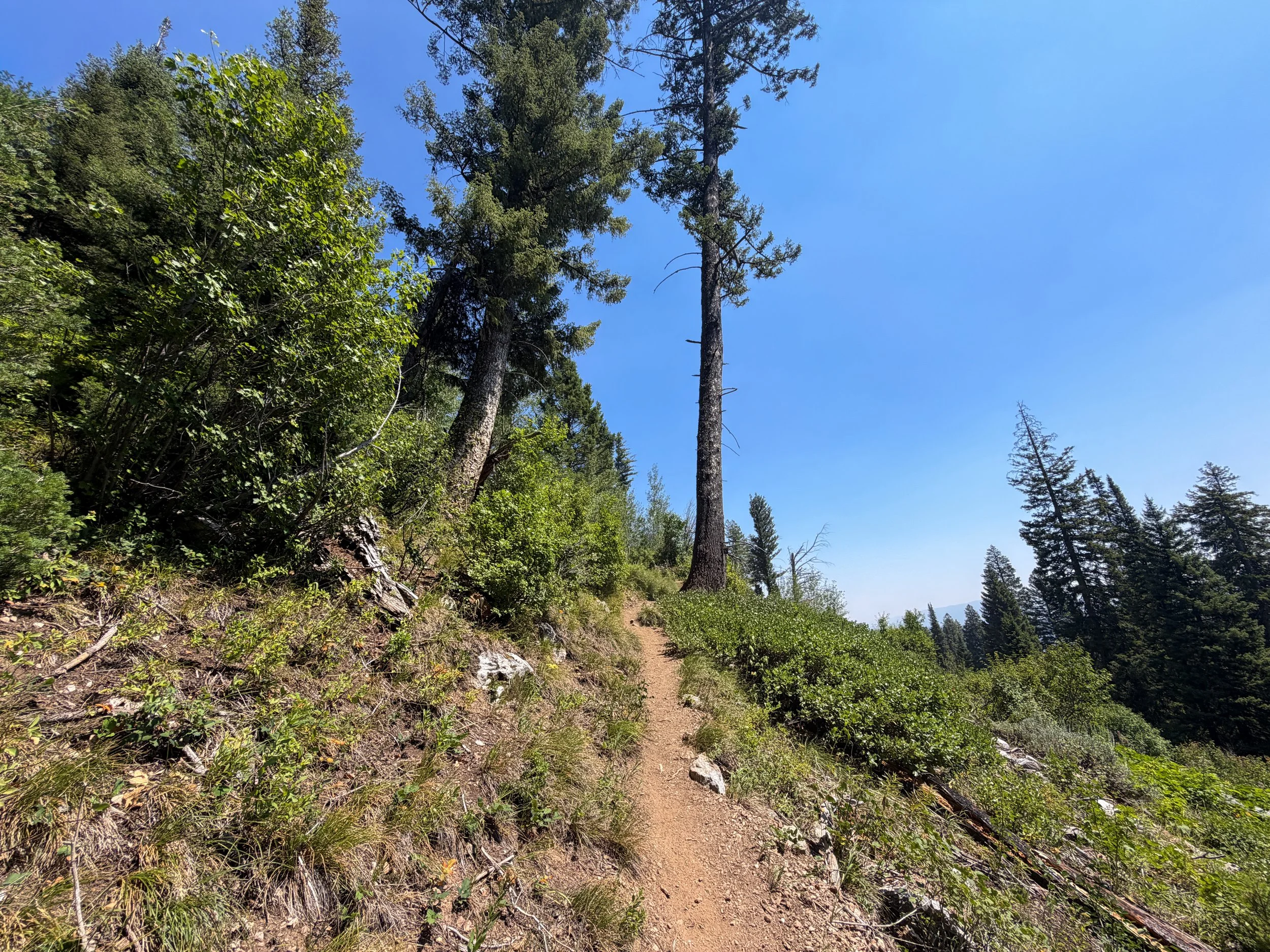 Lake of the Crags Trail Grand Teton National Park Wyoming