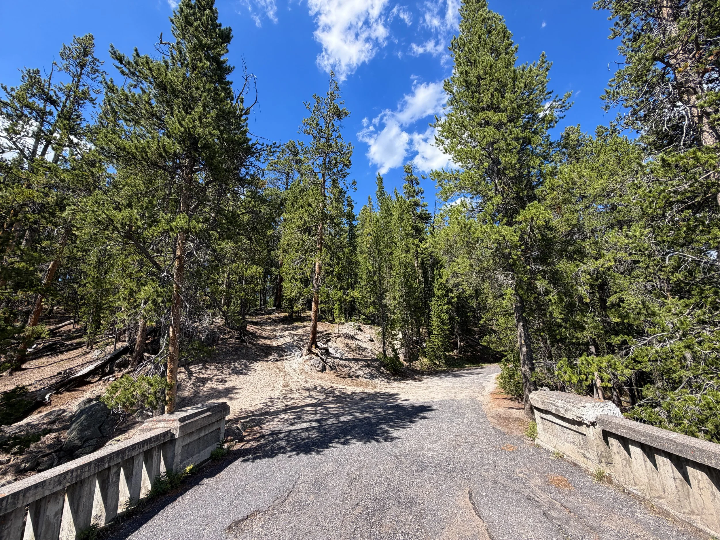 North Rim Trail Yellowstone National Park Wyoming