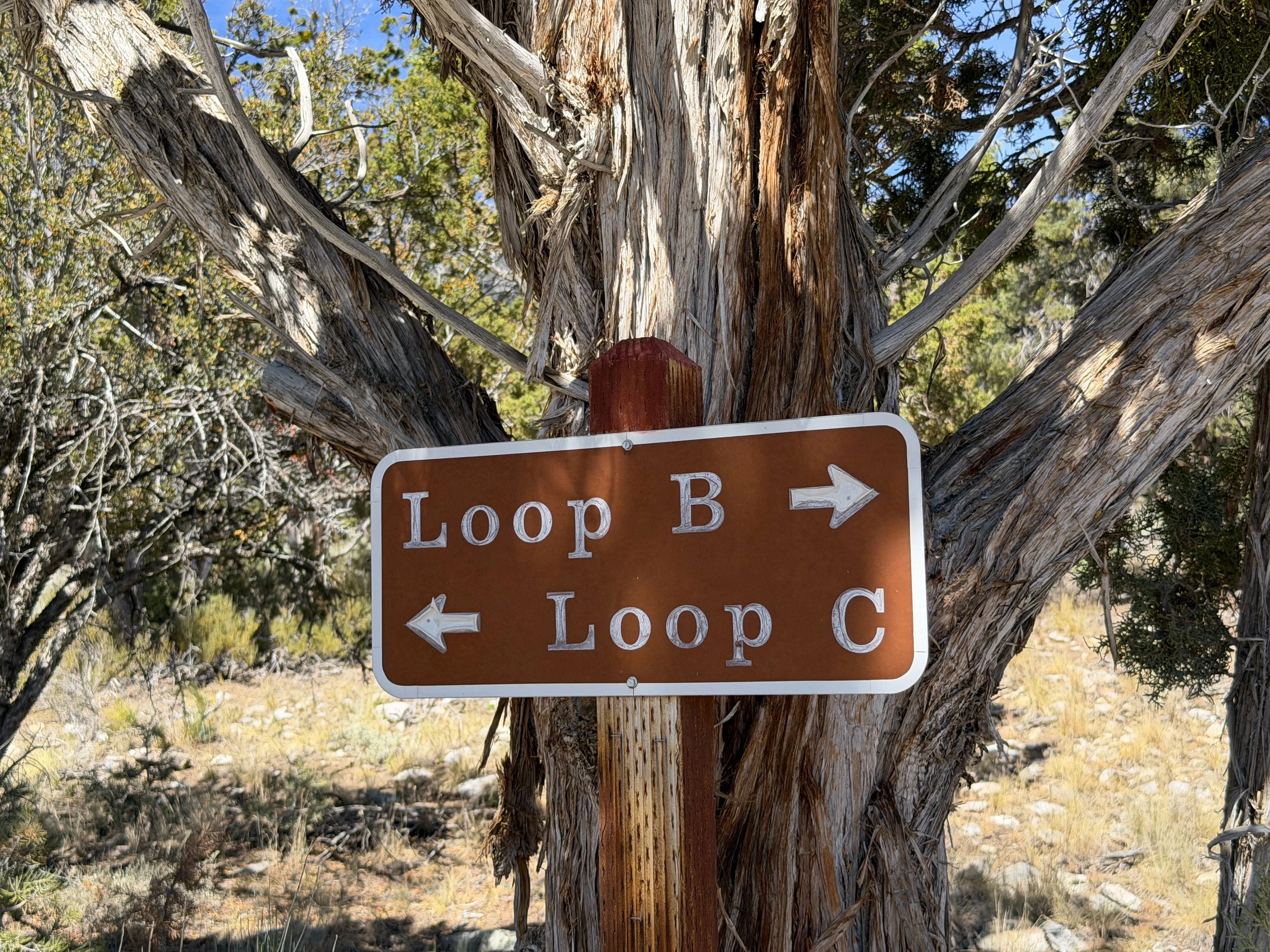 Grey Cliffs Campground Pole Canyon Trail Great Basin National Park Nevada