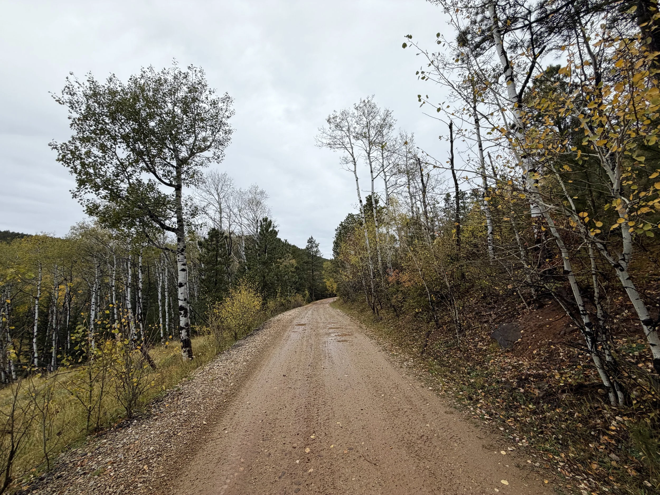 Custer Peak Trail Black Hills South Dakota