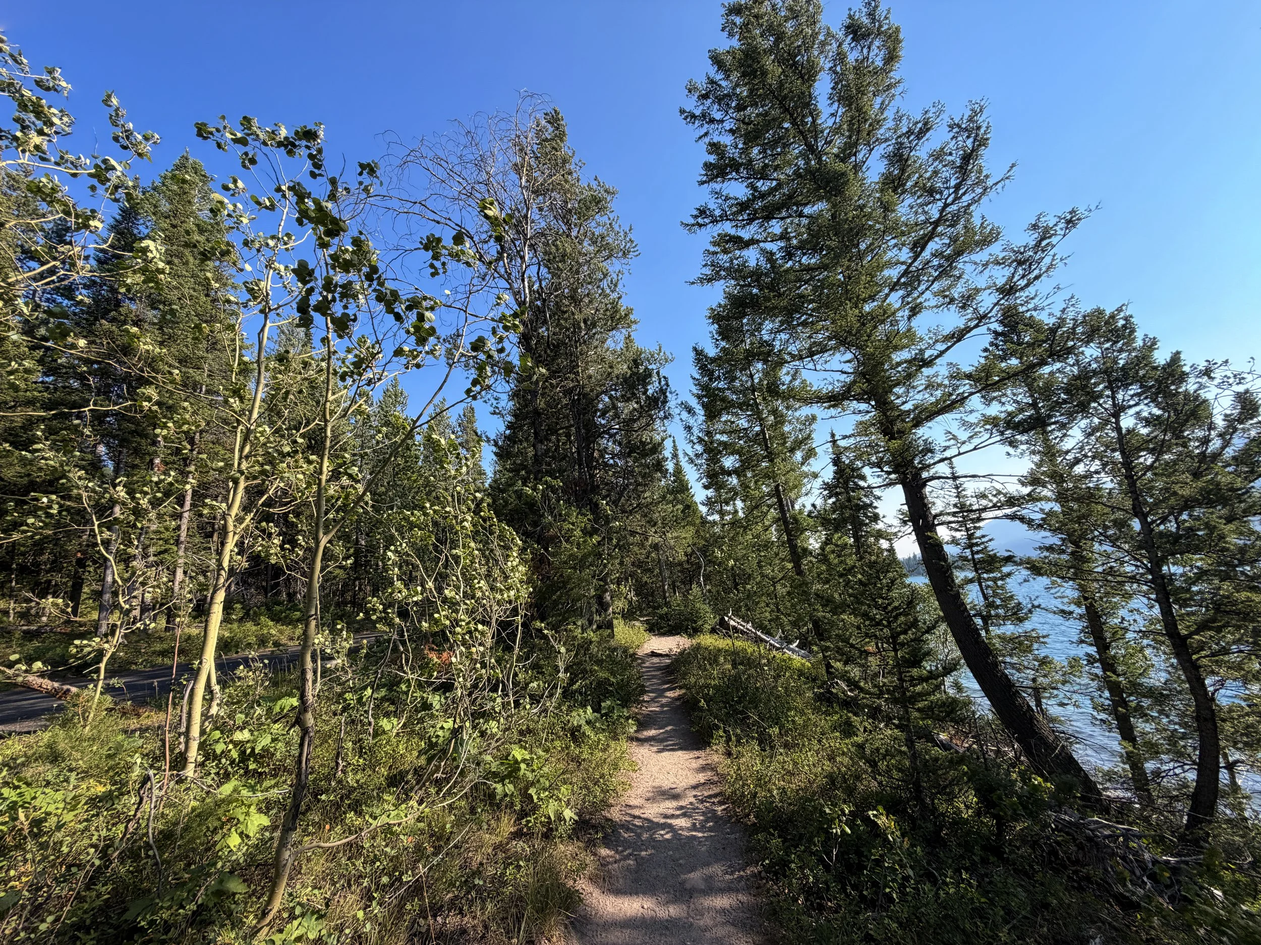Jenny Lake Loop Trail Grand Teton National Park Wyoming
