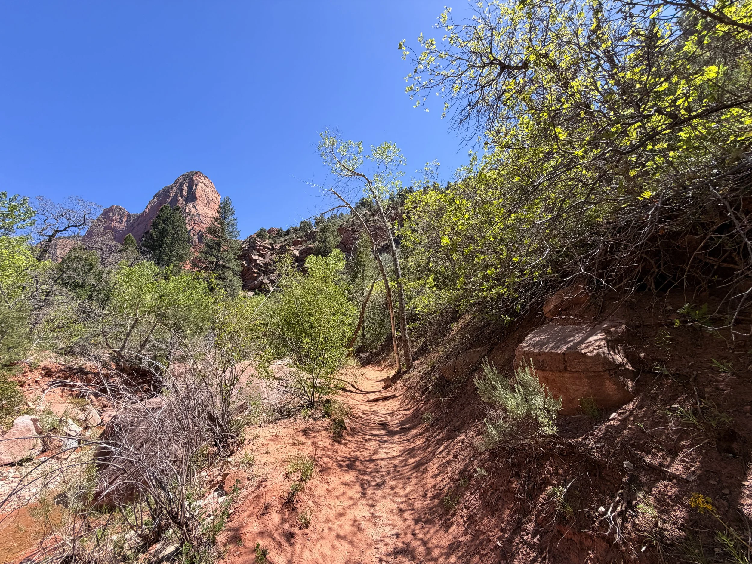 Middle Taylor Creek Trail Zion National Park Utah
