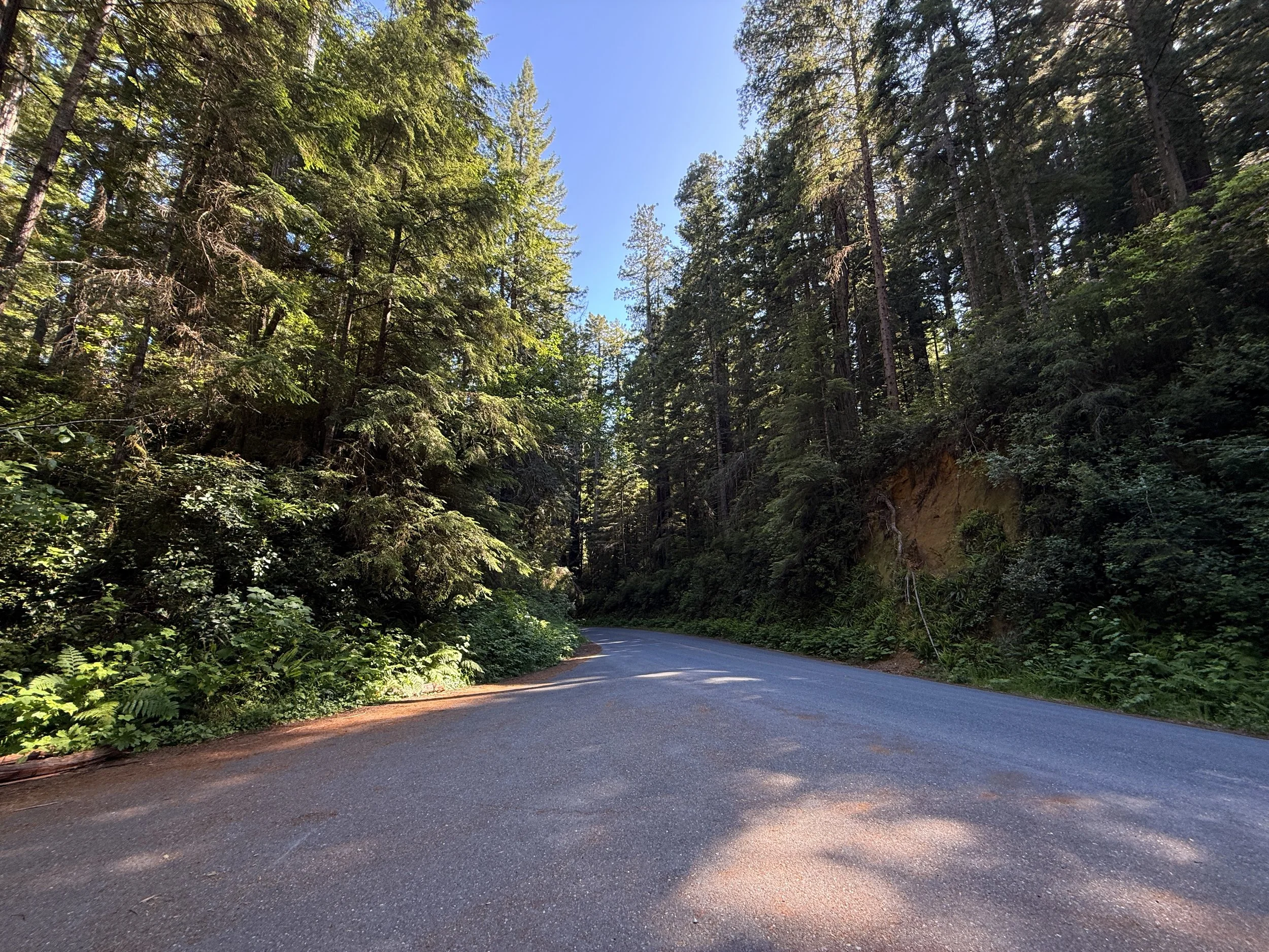 Ah Pah Interpretive Trailhead Parking Prairie Creek Redwoods State Park California