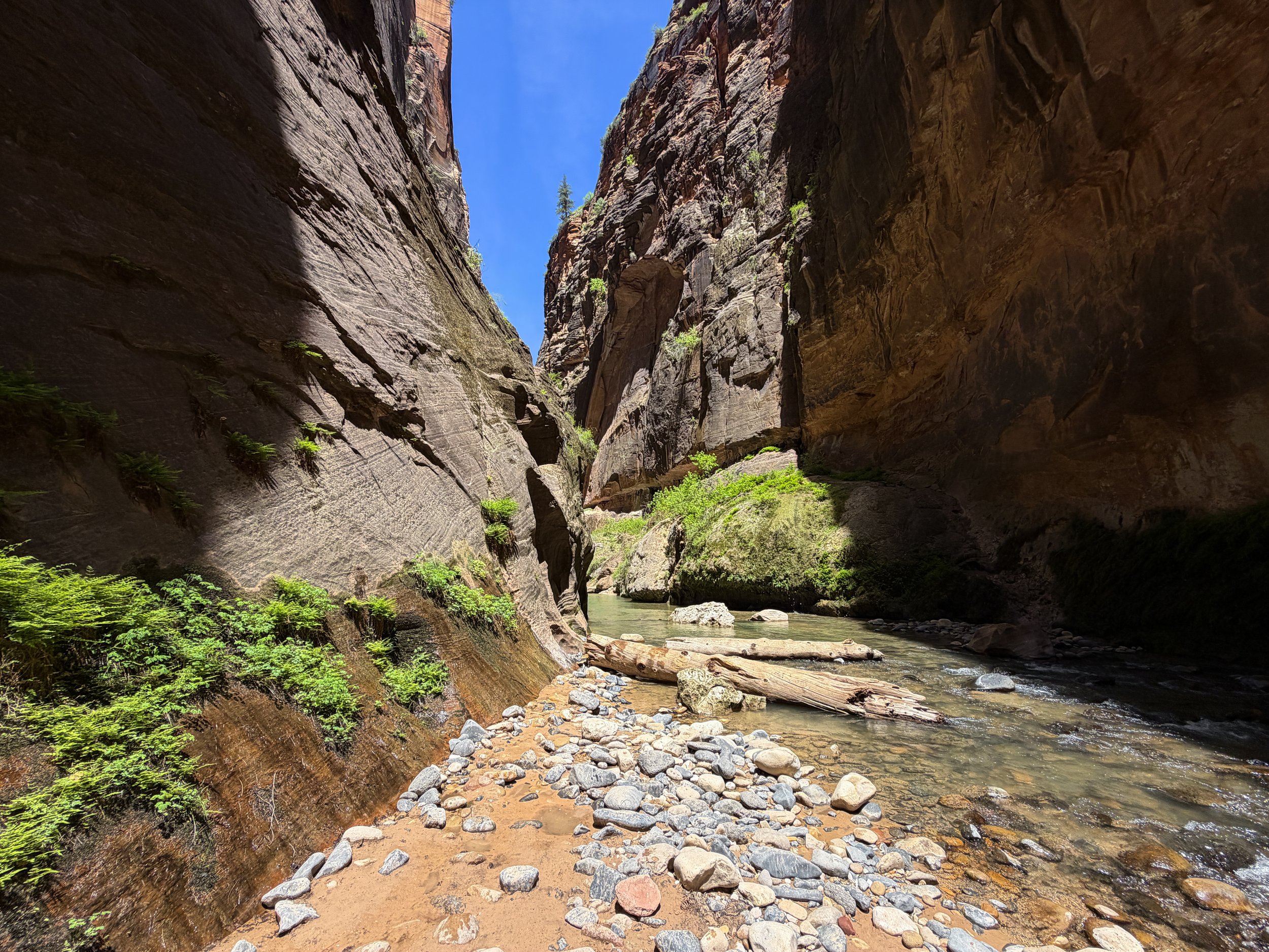 Wall Street Narrows Hike Zion National Park Utah