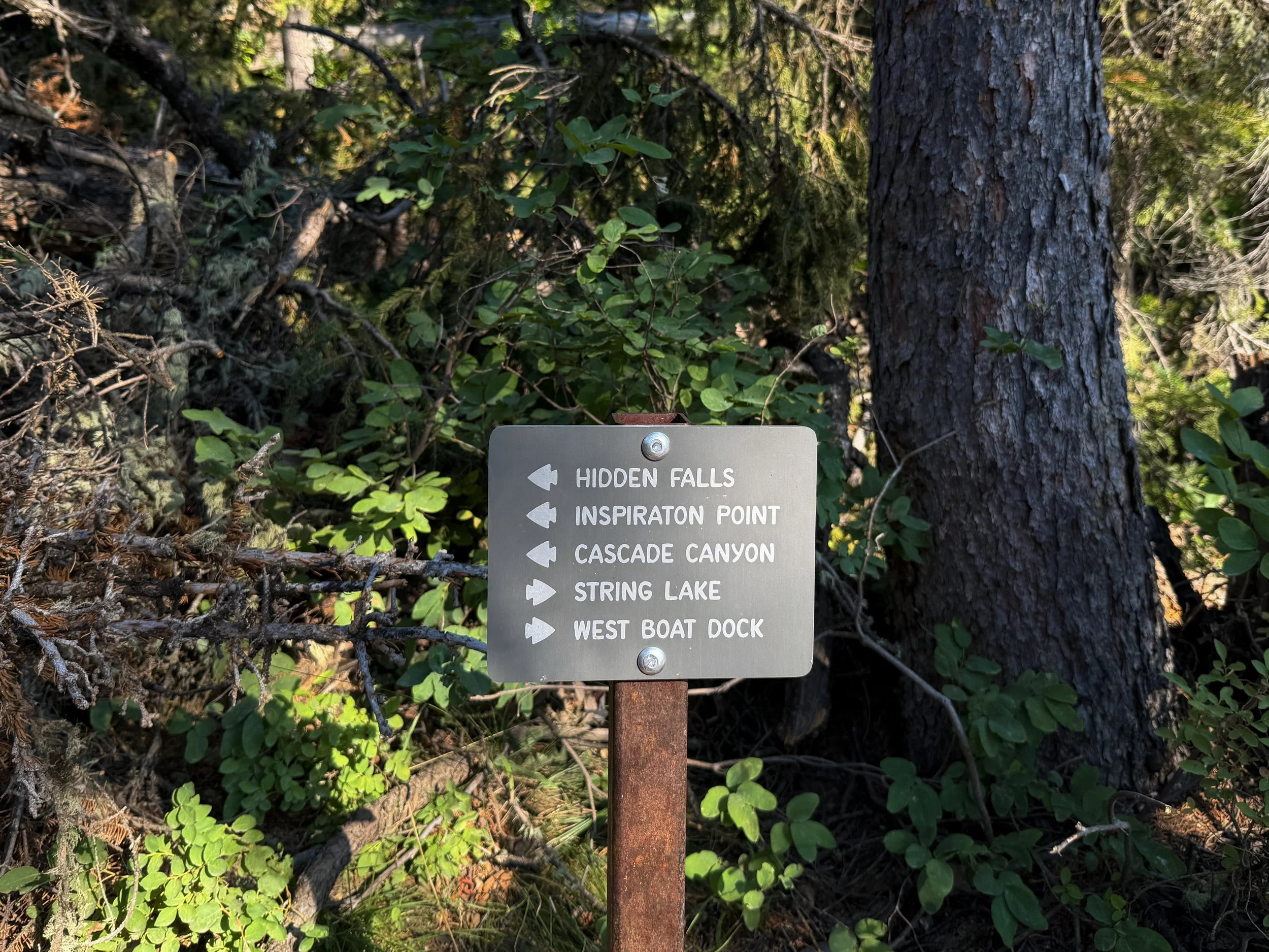 Jenny Lake Loop Trail to Hidden Falls Grand Teton National Park Wyoming