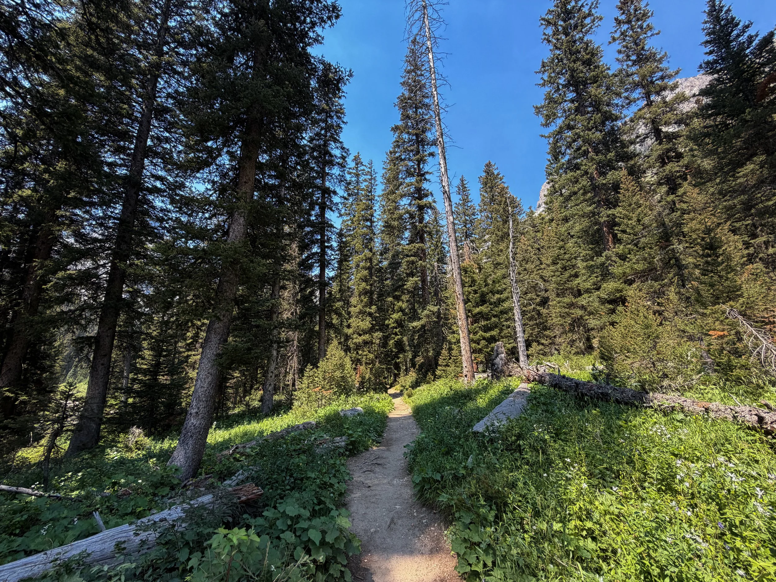 Cascade Canyon Trail Grand Teton National Park Wyoming
