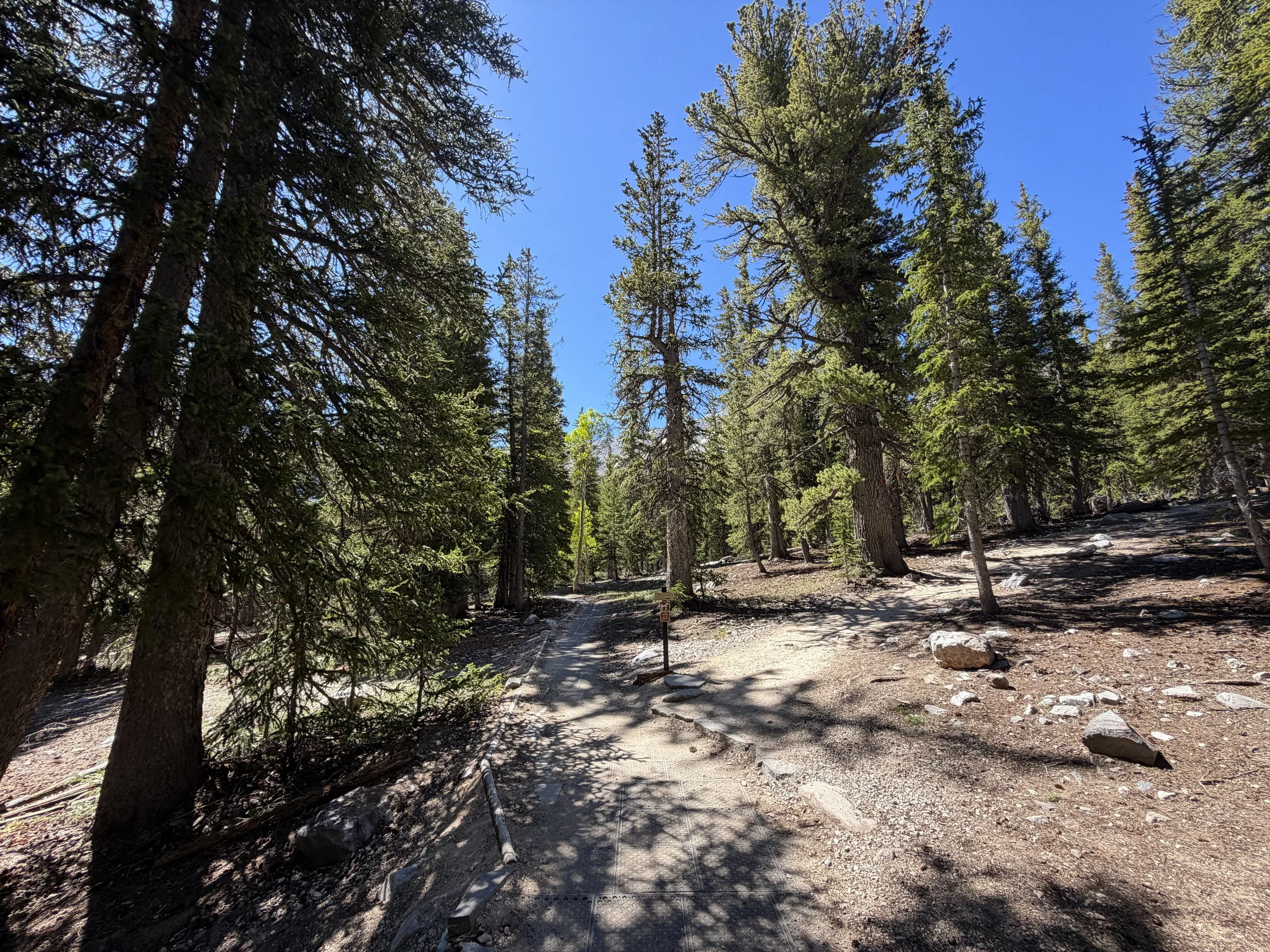 Alpine Lakes Loop Trail Great Basin National Park Nevada