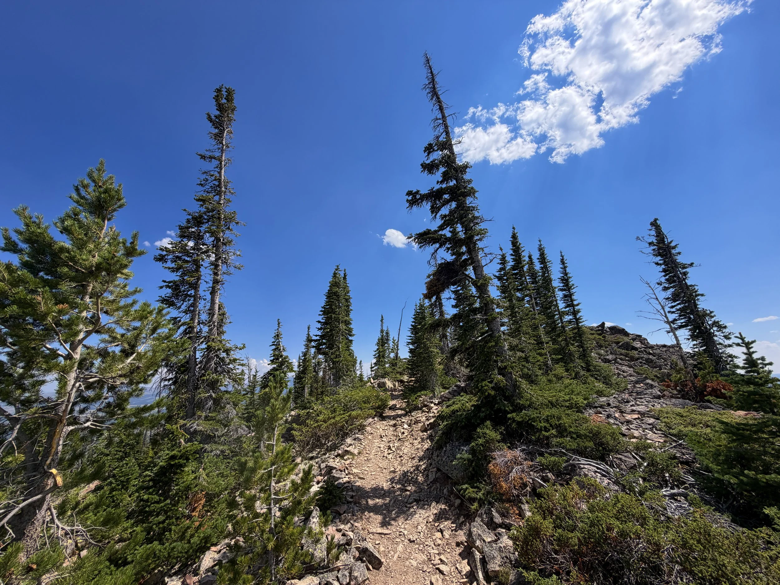 Bunsen Peak Loop Trail Yellowstone National Park Wyoming