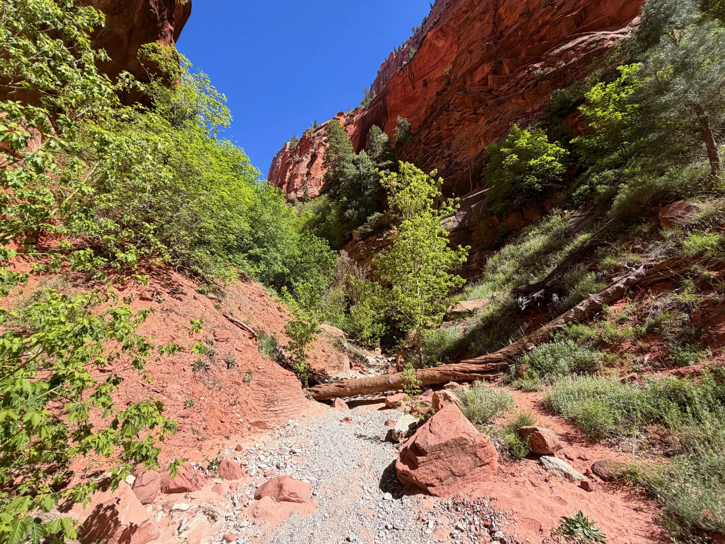 Taylor Creek Trail Zion National Park Utah