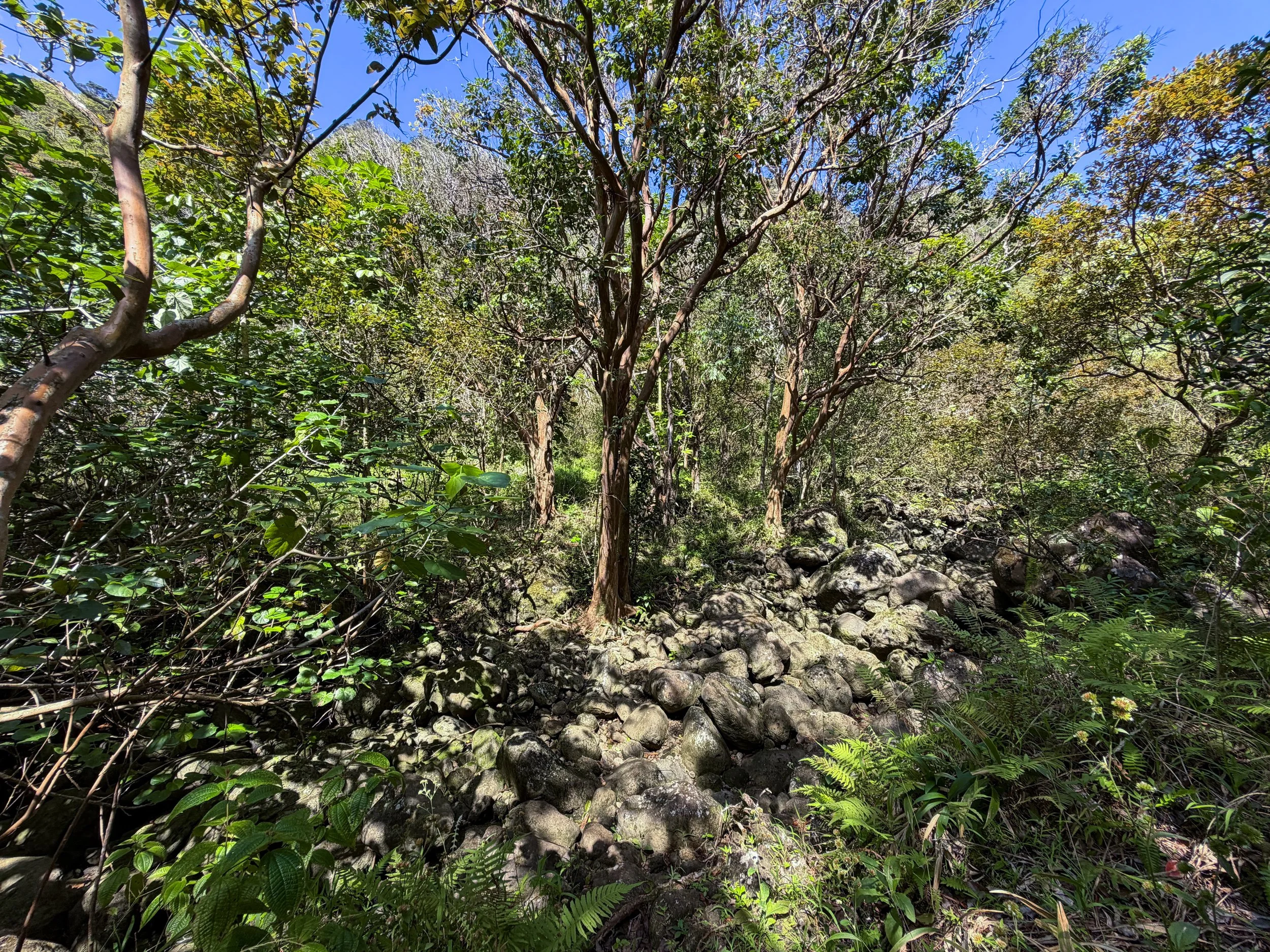 Kulanaahane Trail Oahu Hawaii