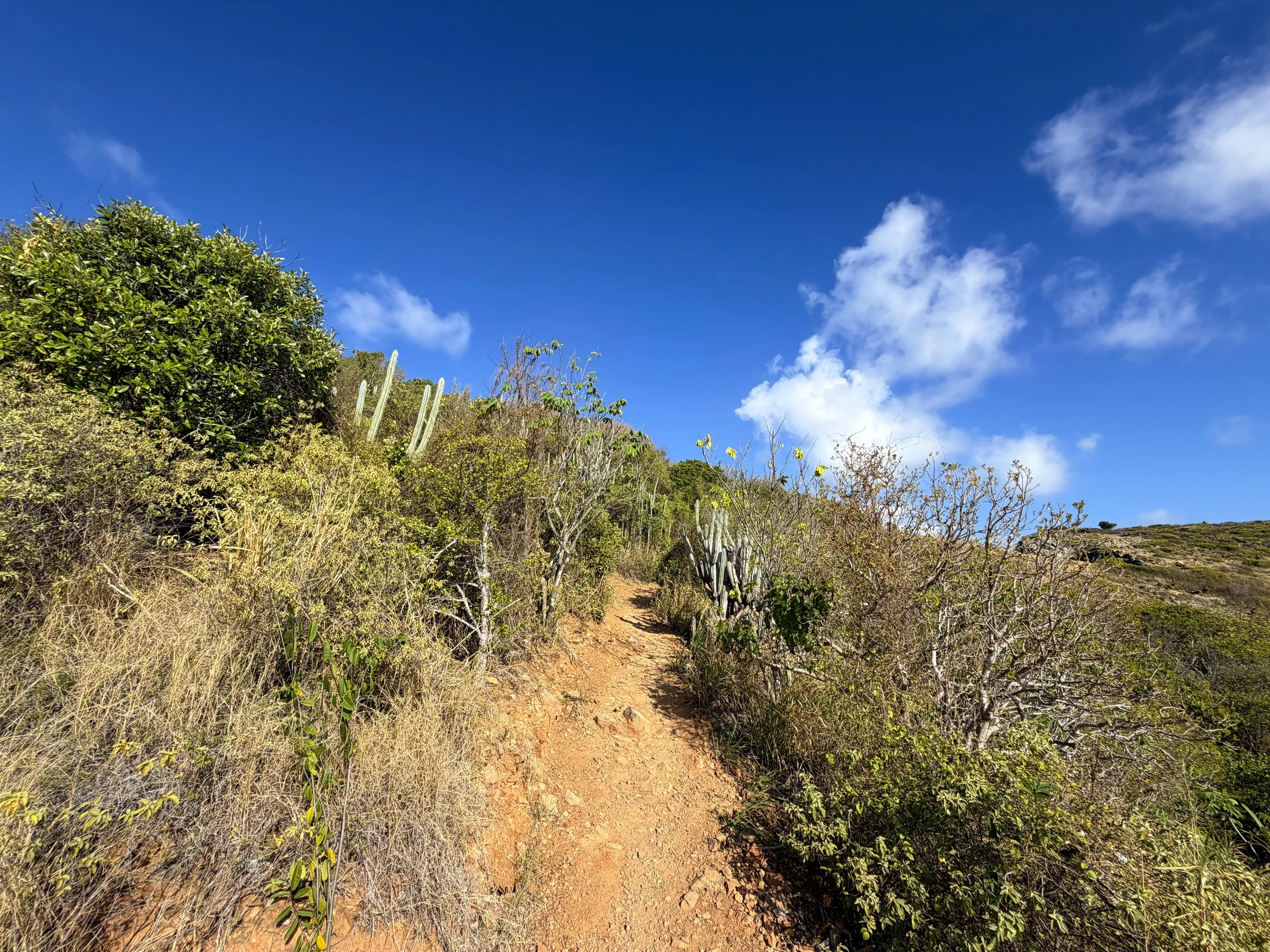 Ram Head Trail Virgin Islands National Park