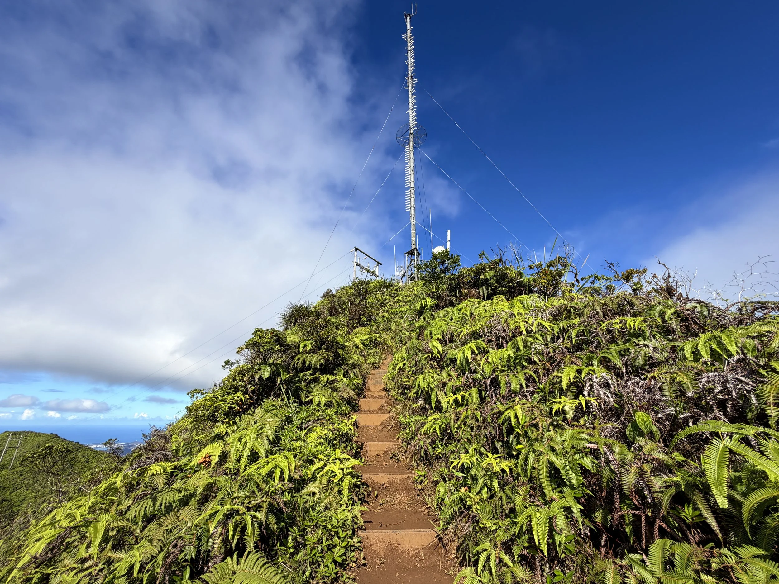 Wiliwilinui Ridge Trail Stairs Oahu Hawaii