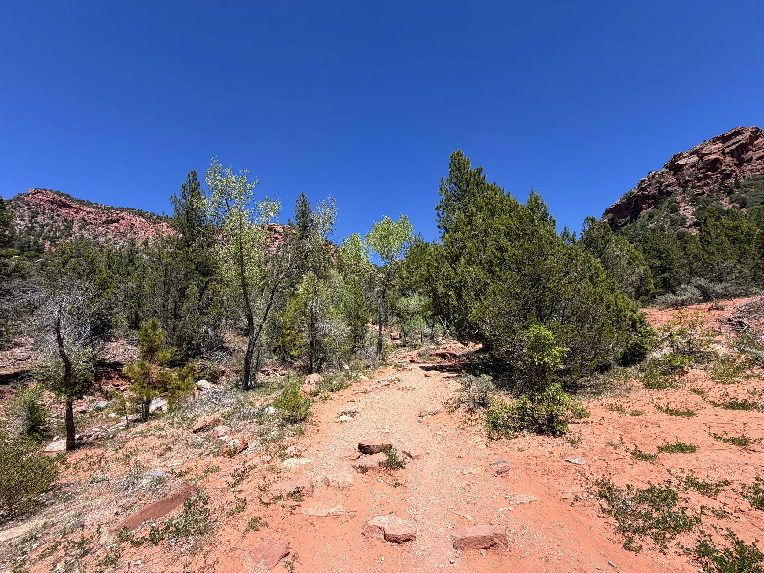 Taylor Creek Trail Zion National Park Utah