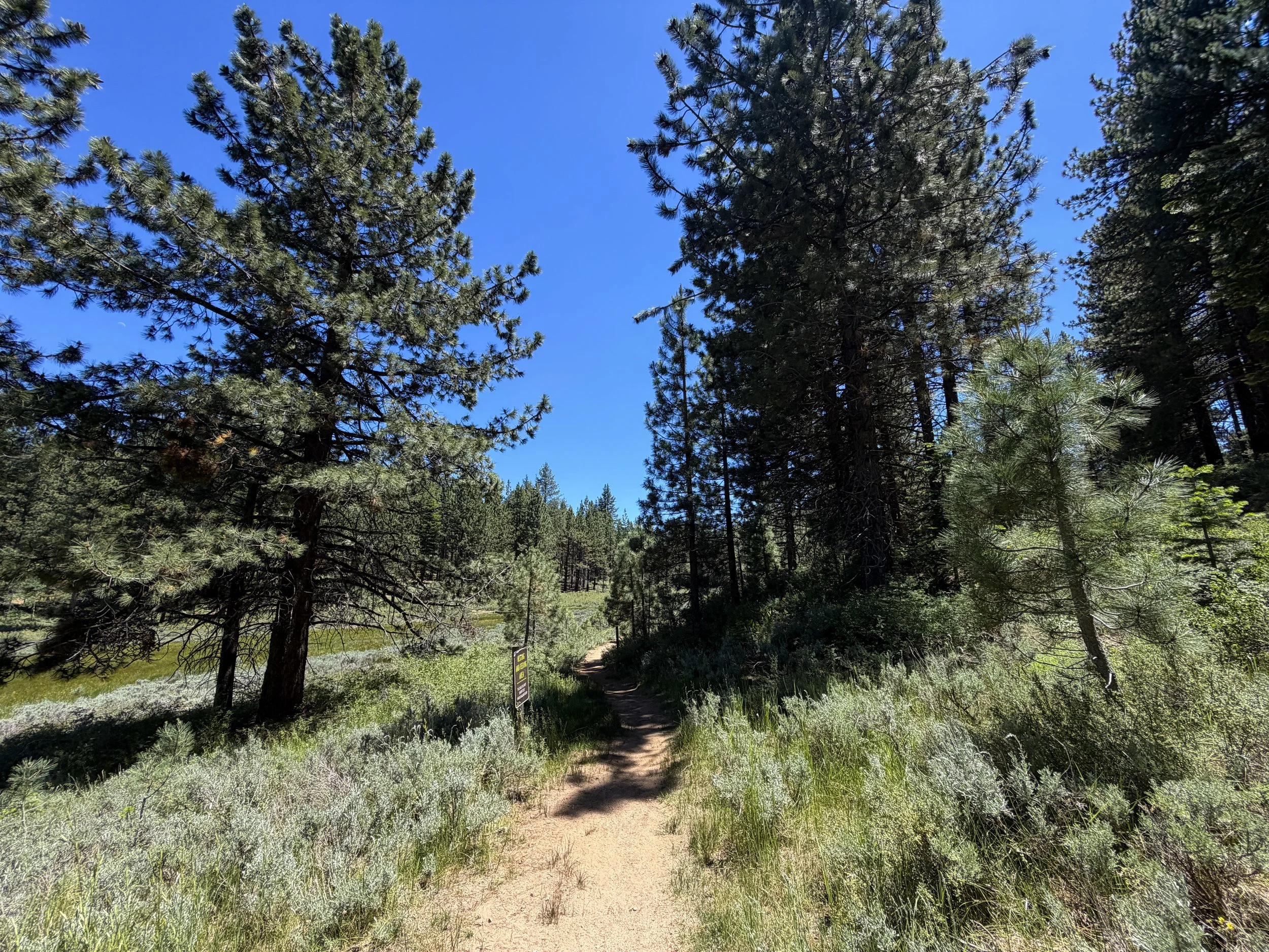 Spooner Lake Loop Trail Lake Tahoe Nevada