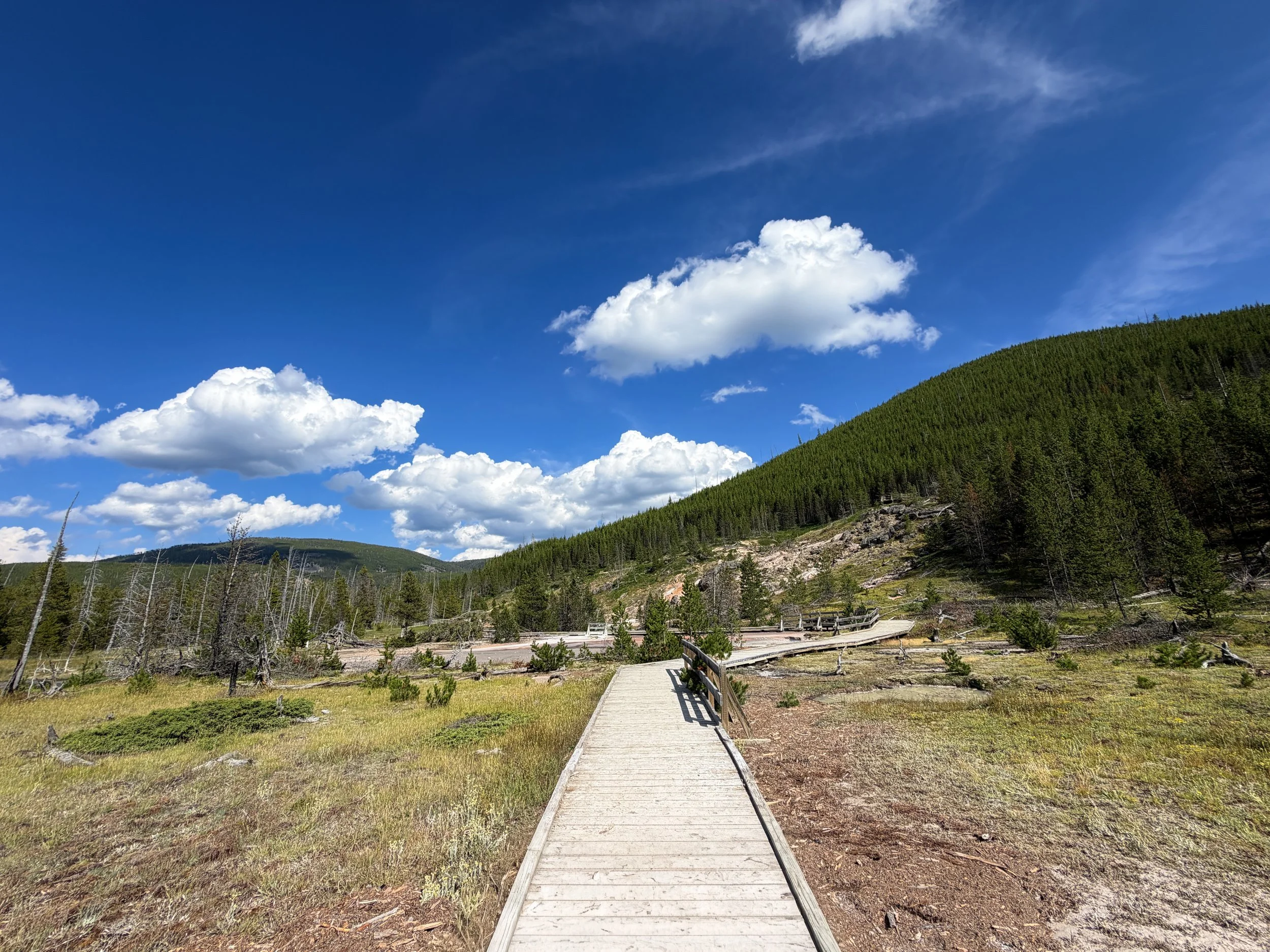 Artists Paintpots Trail Yellowstone National Park Wyoming