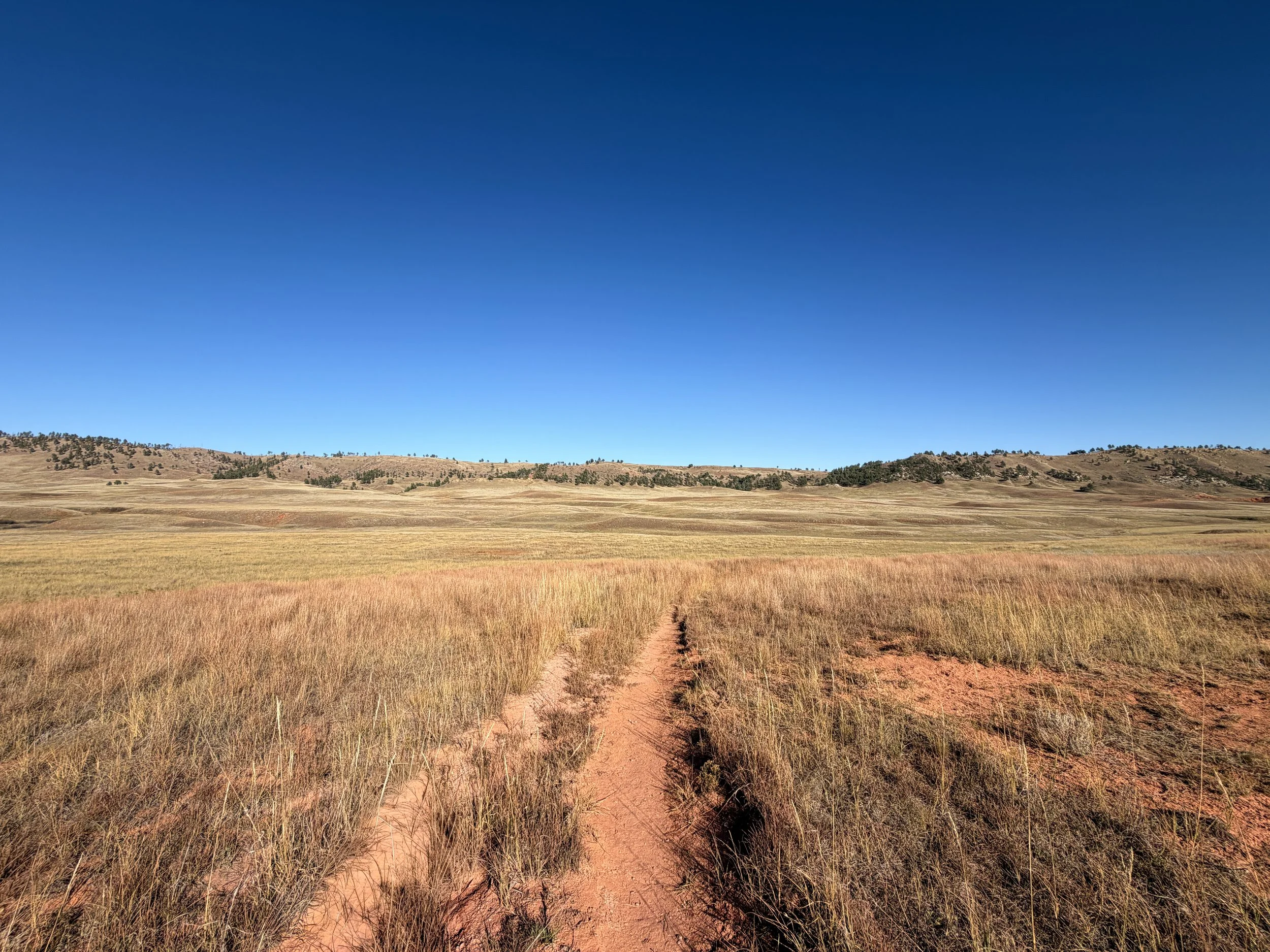 Boland Ridge Trail Wind Cave National Park South Dakota