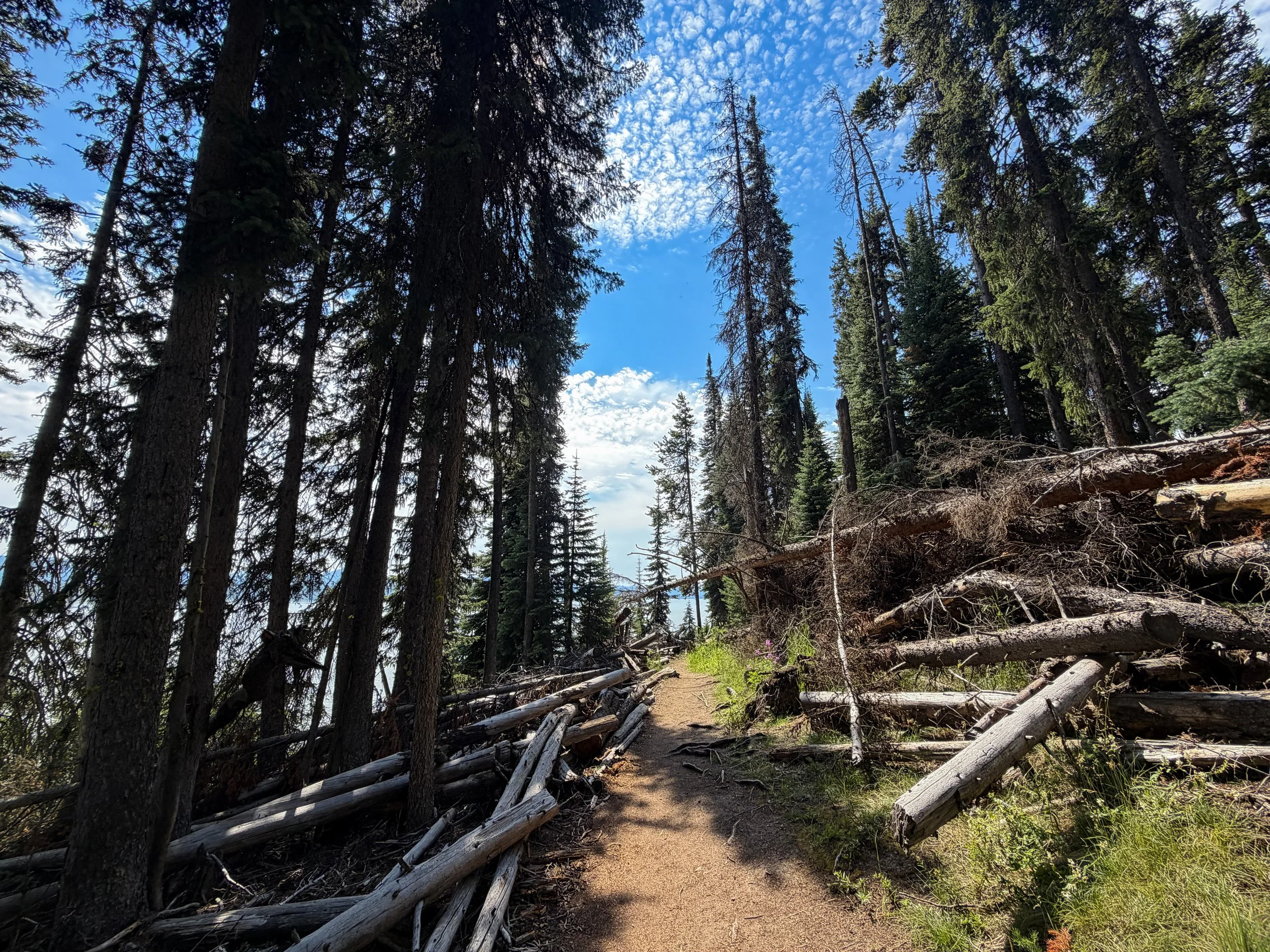 Storm Point Loop Trail Yellowstone National Park Wyoming
